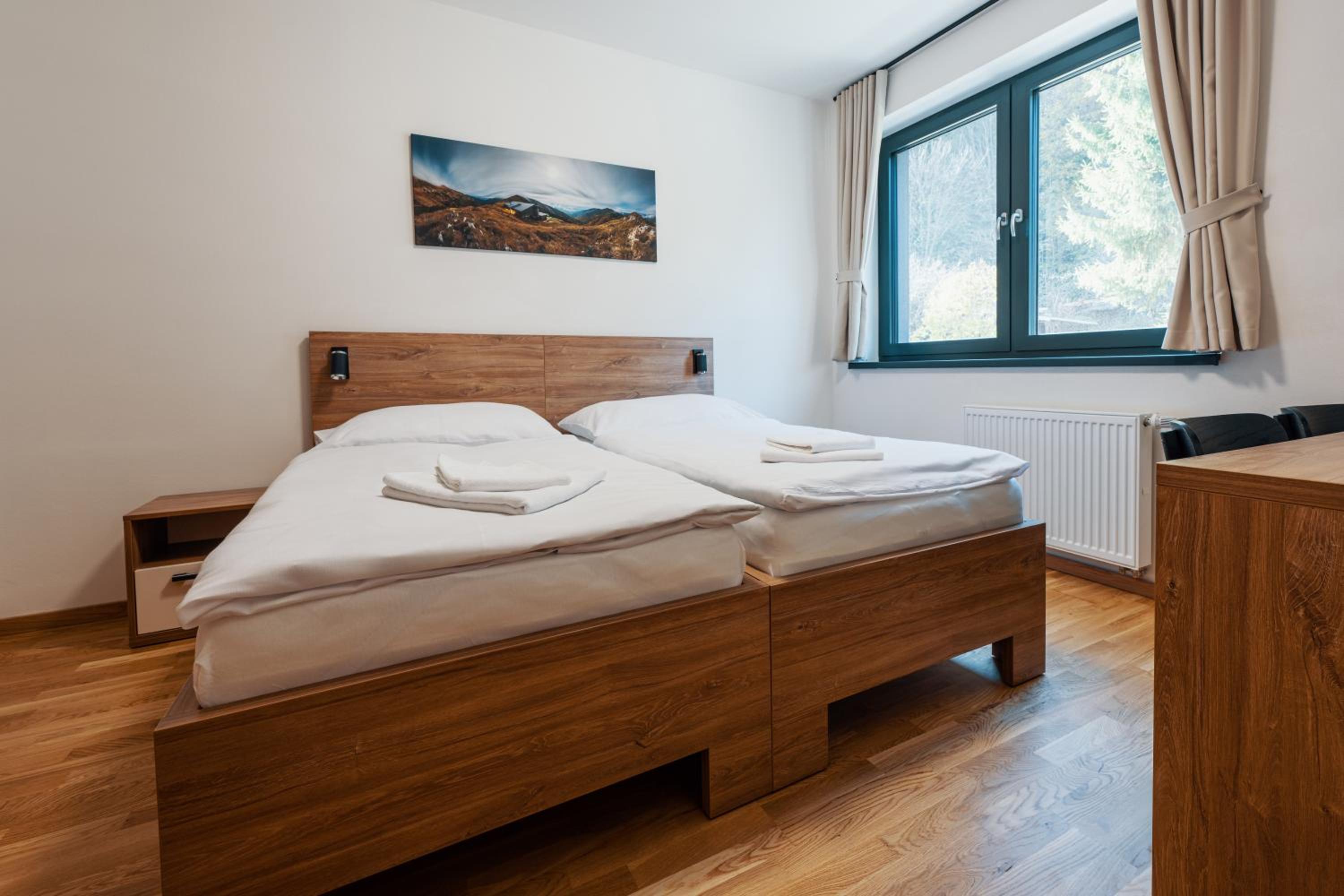 Deluxe Double or Twin Room photo 2
