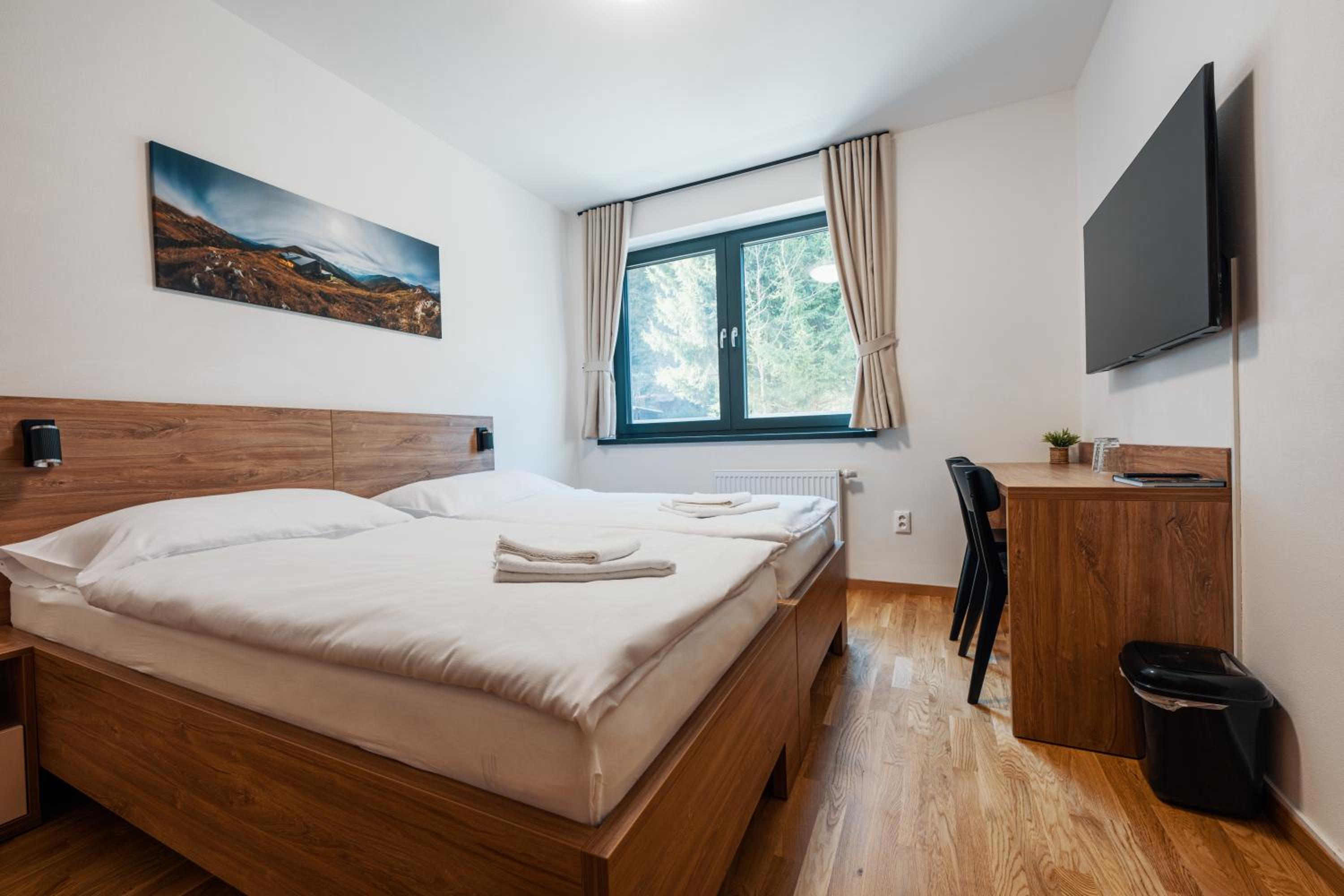 Deluxe Double or Twin Room photo 1