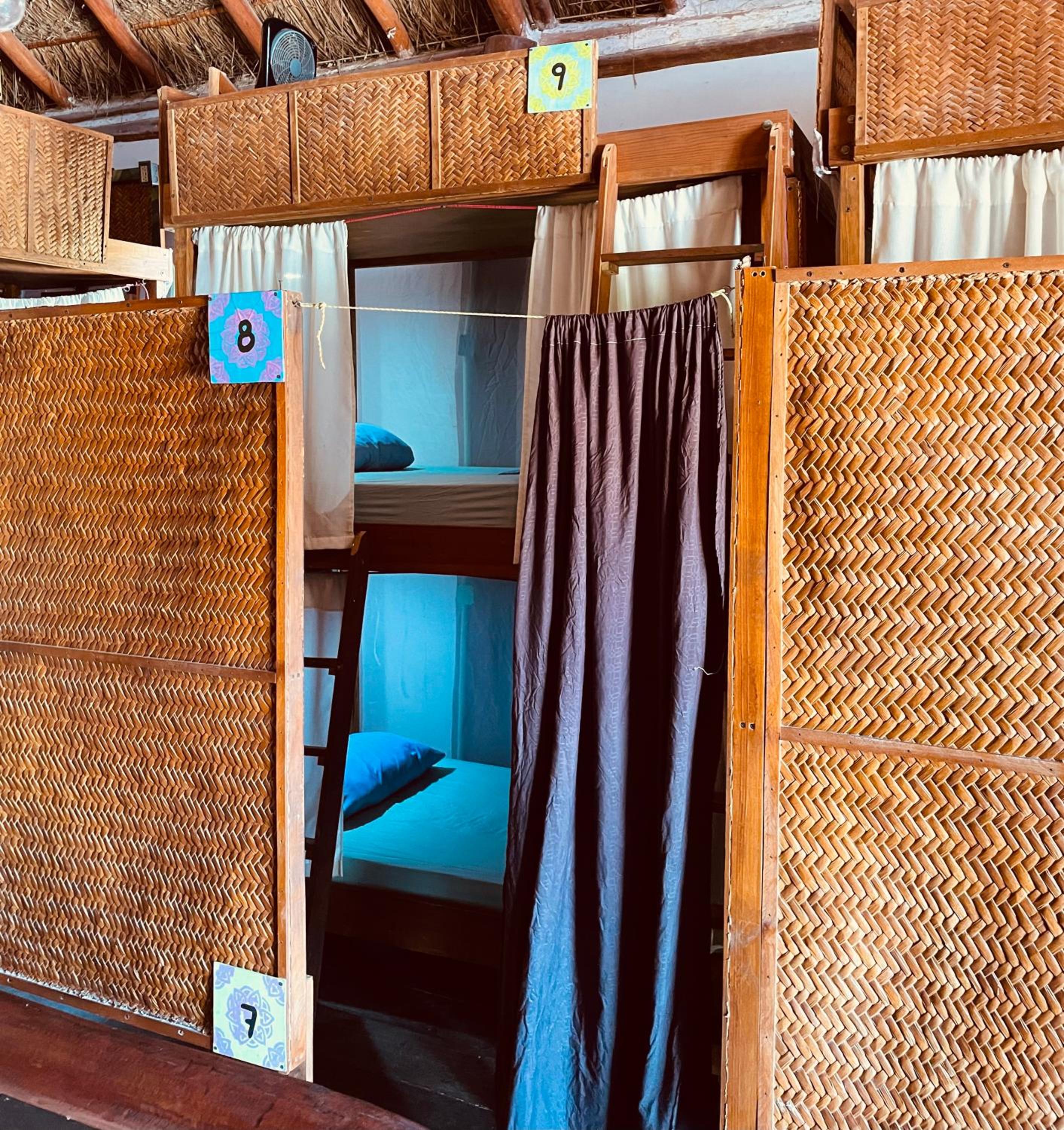 Bunk Bed In Mixed Dormitory Room photo 1