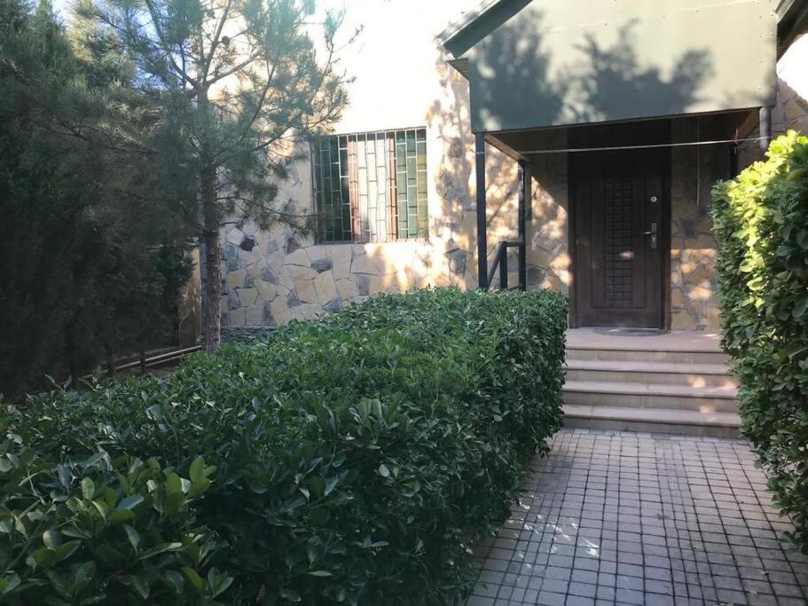 One-Bedroom Villa