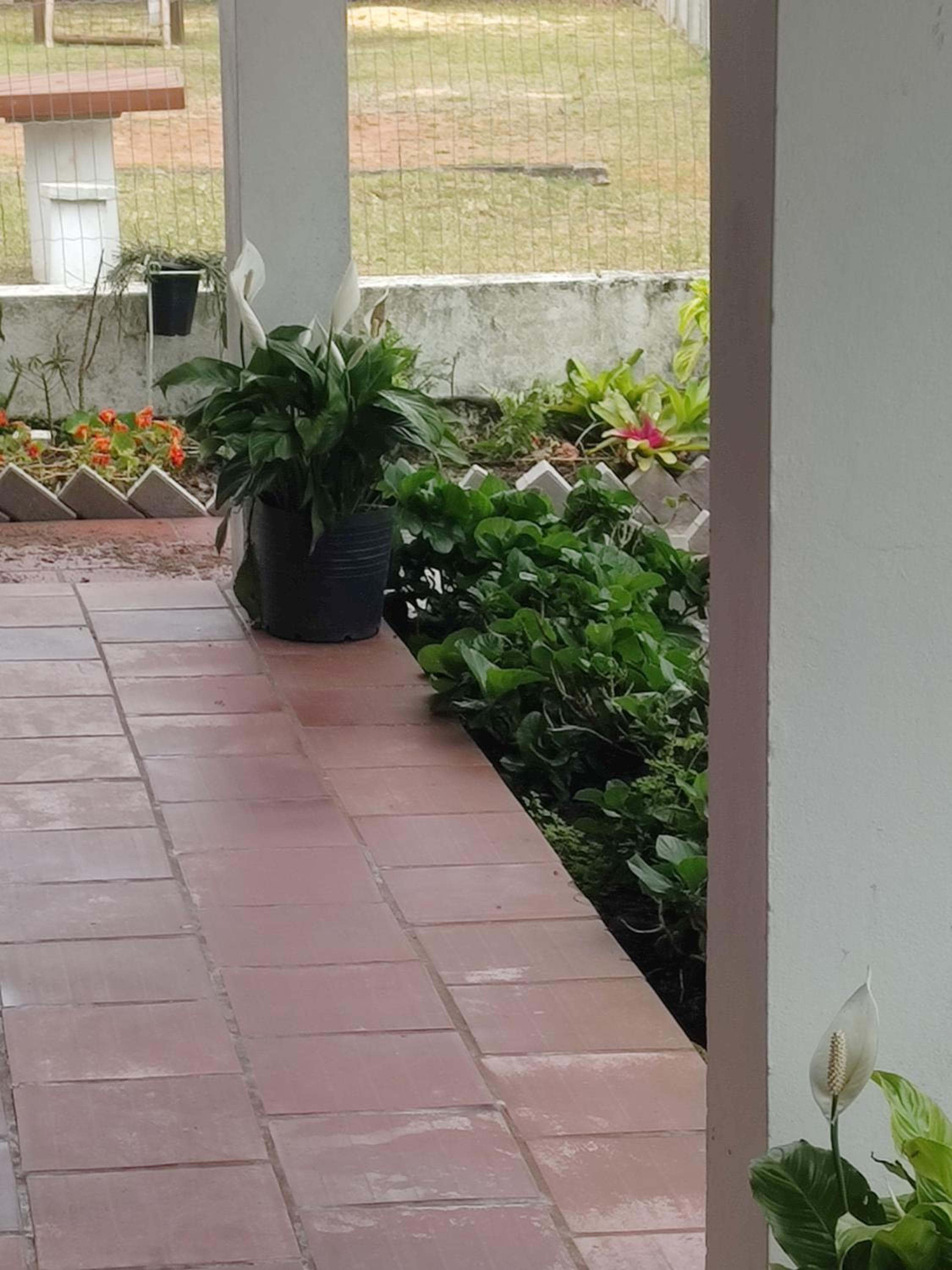 Apartment - Ground Floor photo 3