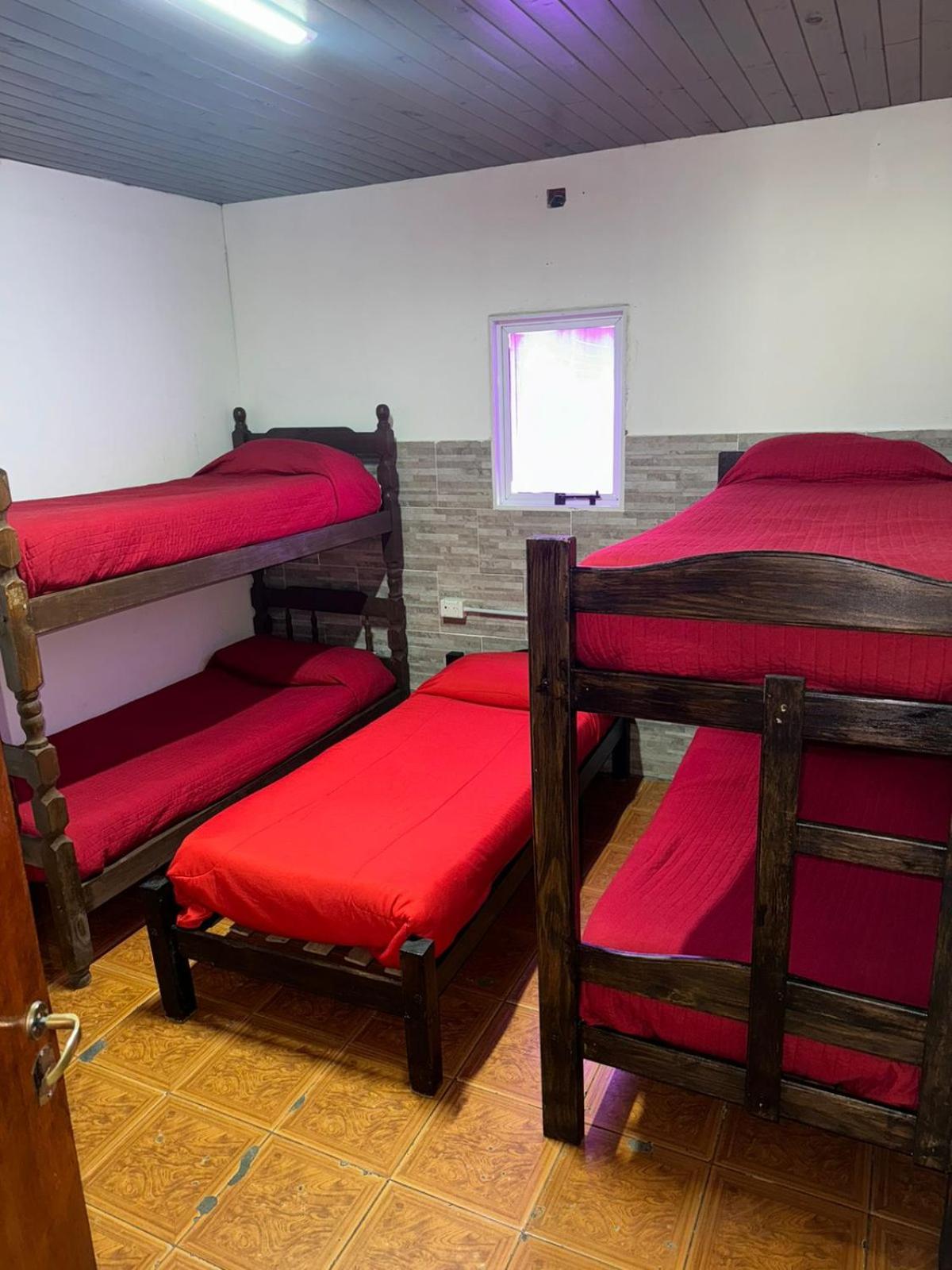 Bunk Bed In Mixed Dormitory Room photo 2