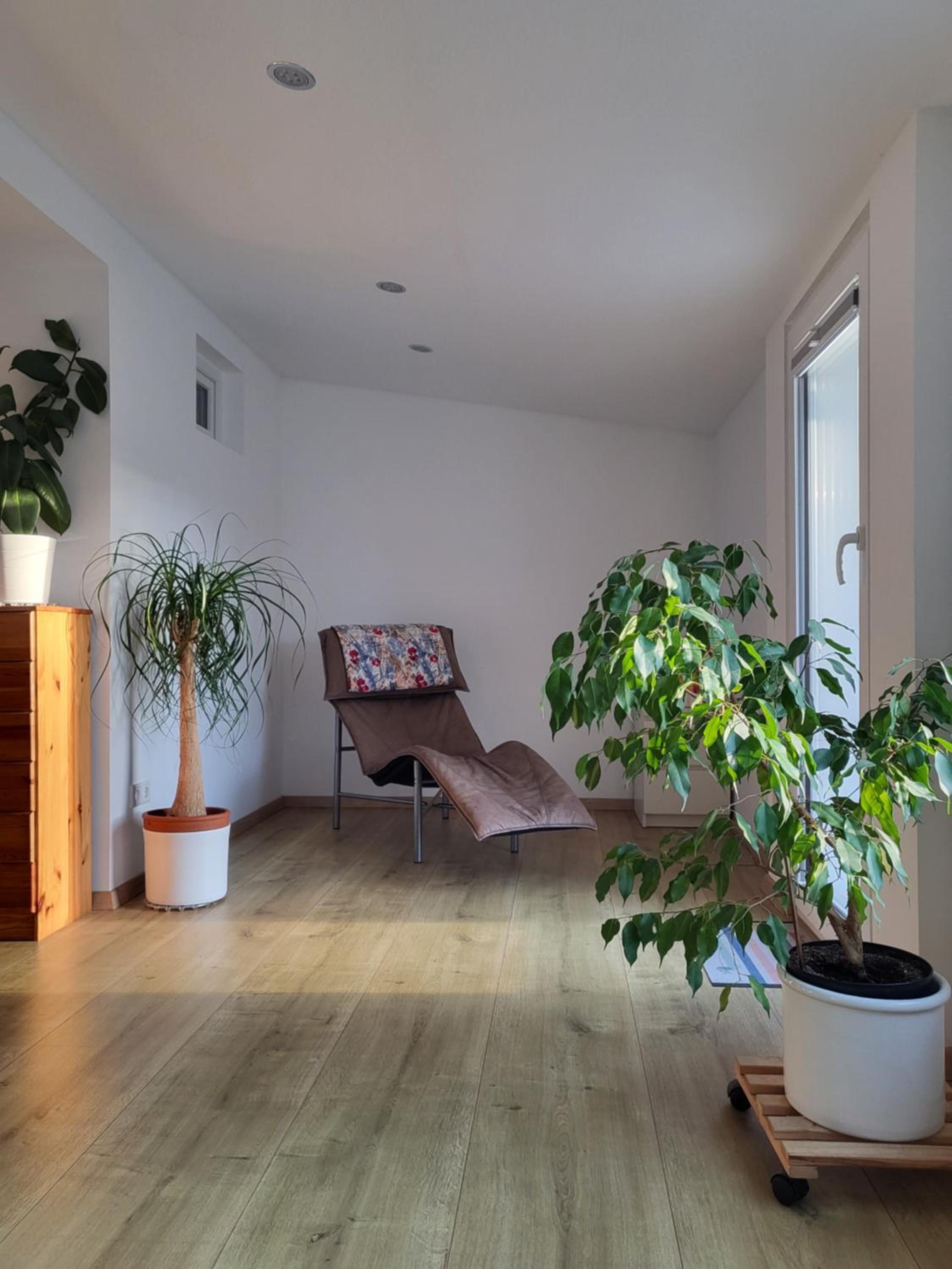 Three-Bedroom House photo 3
