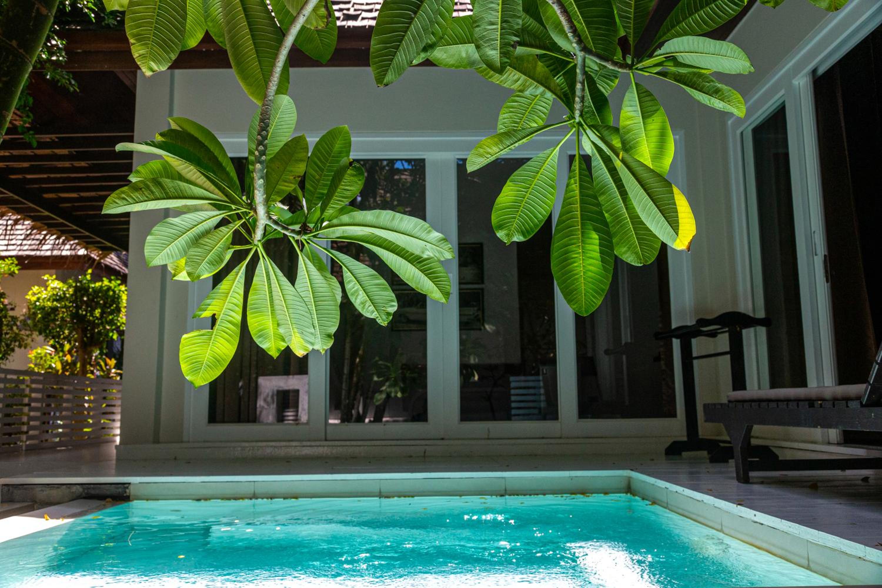 Tropical Pool Villa - Photo 4