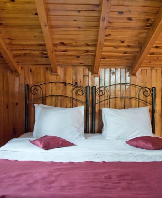 Chalet photo 1