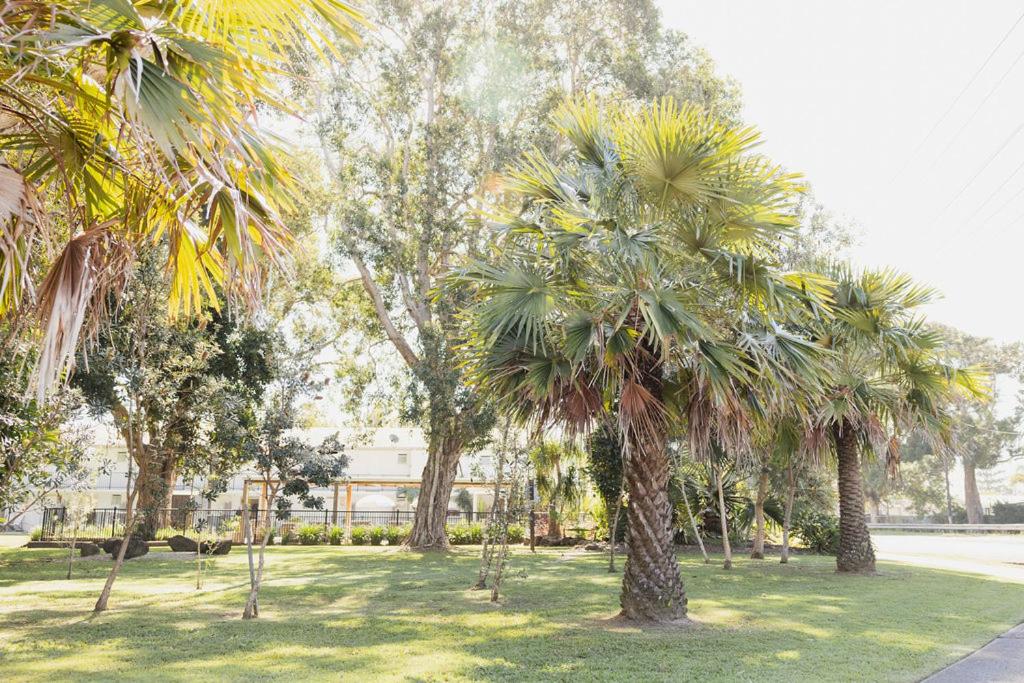 Treetop Two Bedroom - Adults Only photo 3