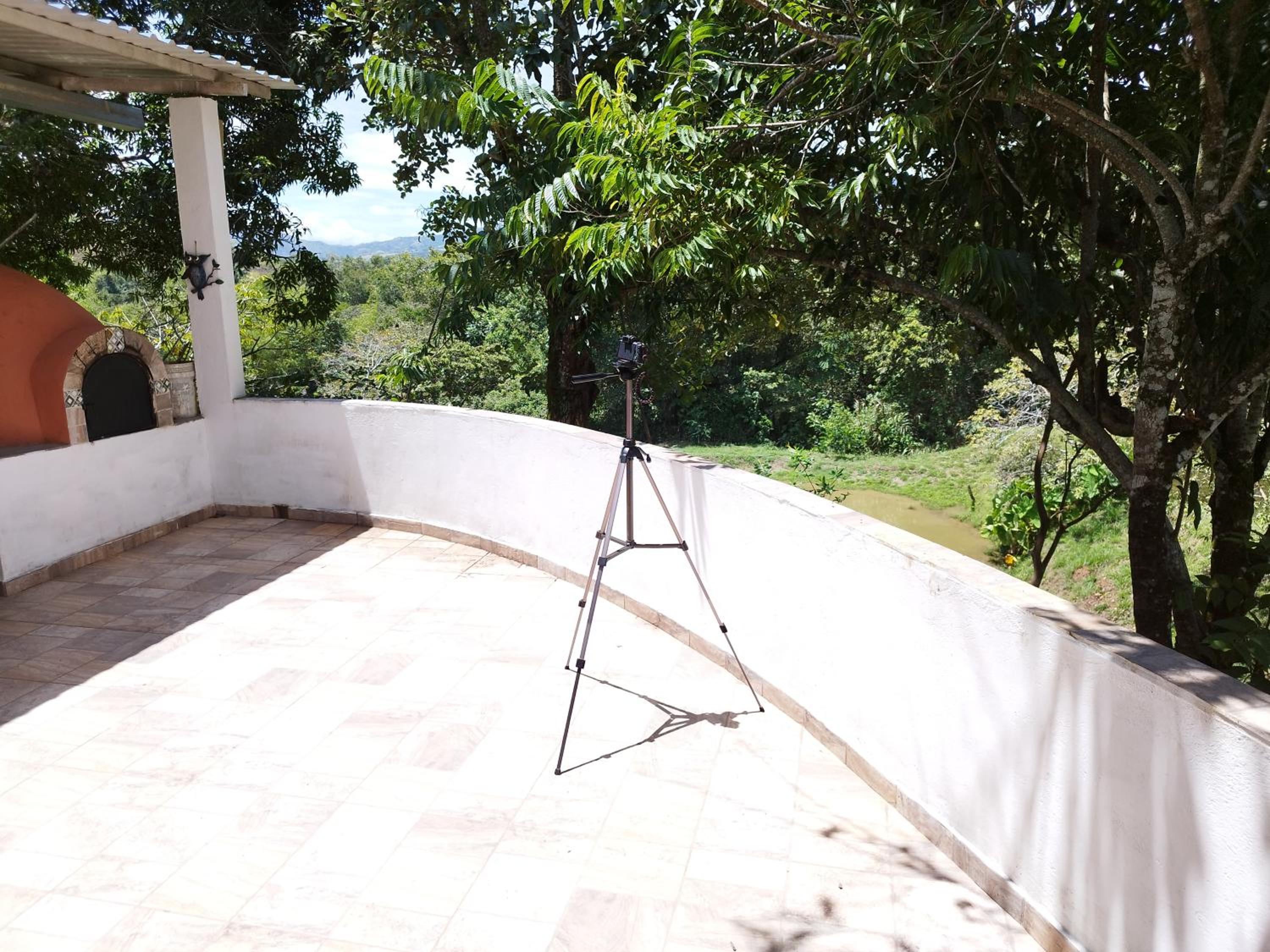 Double Room with Garden View photo 3