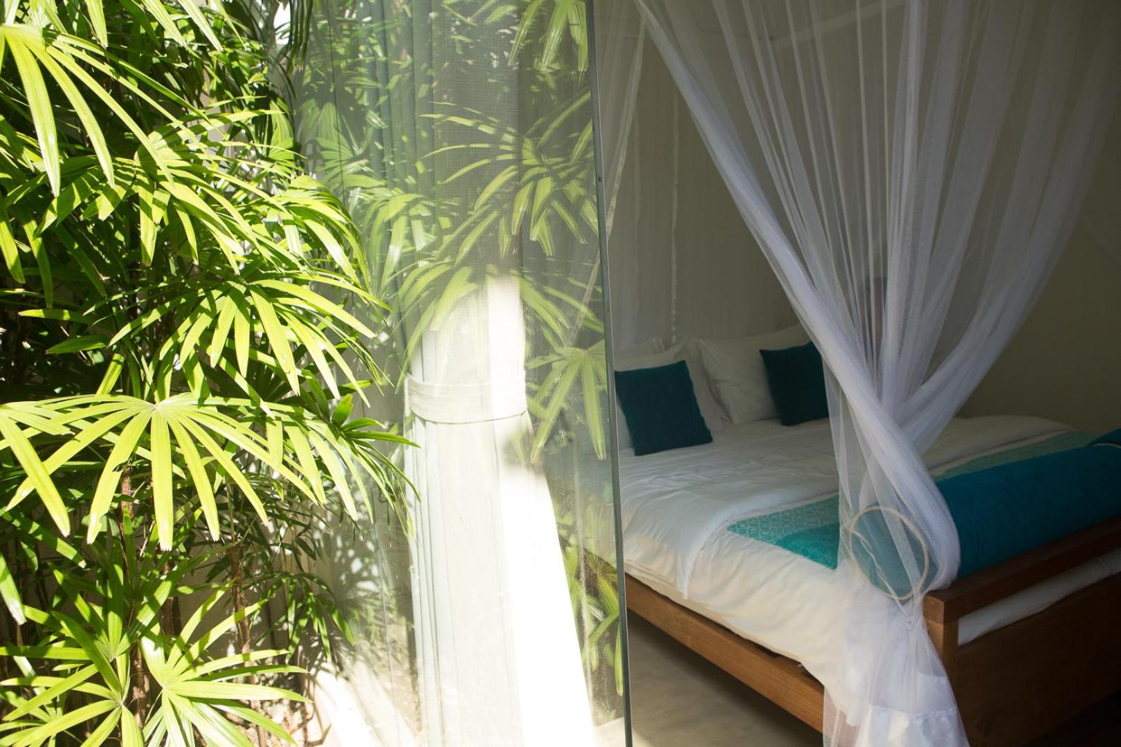 Palm Double Room  photo 2