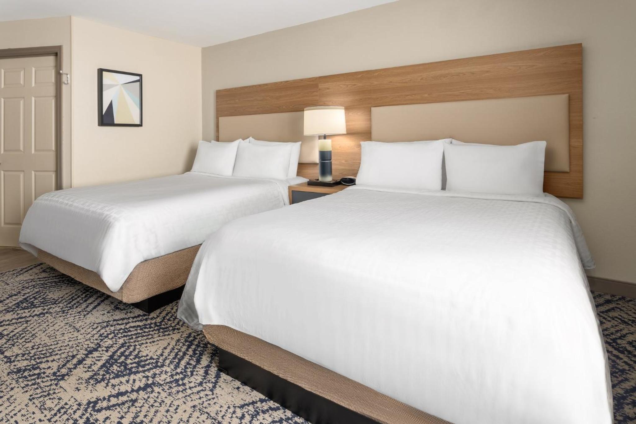 Studio Suite with Two Queen Beds - Photo 3