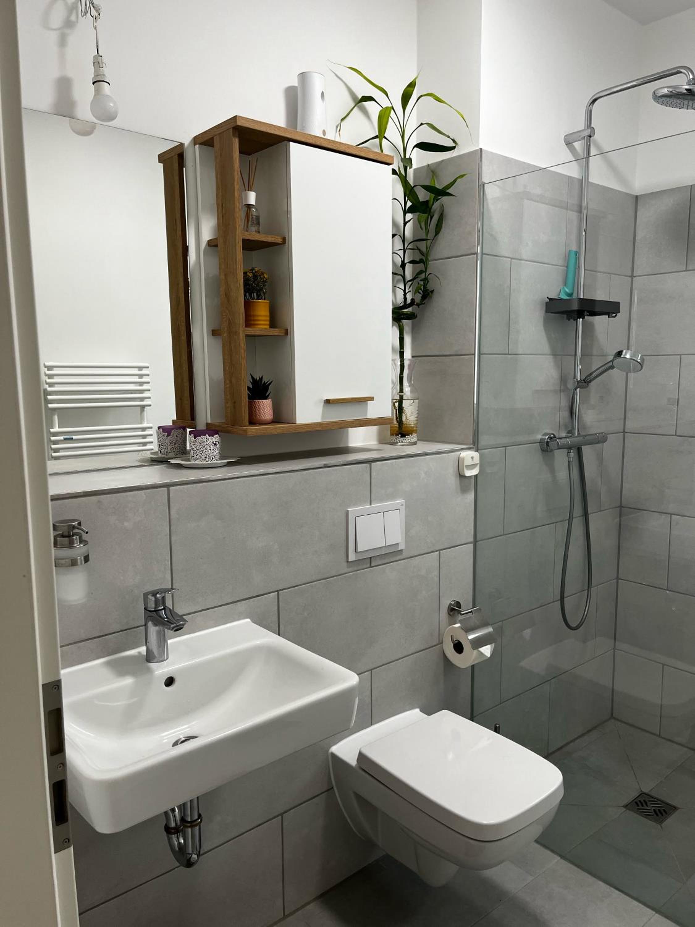 One-Bedroom Apartment photo 2