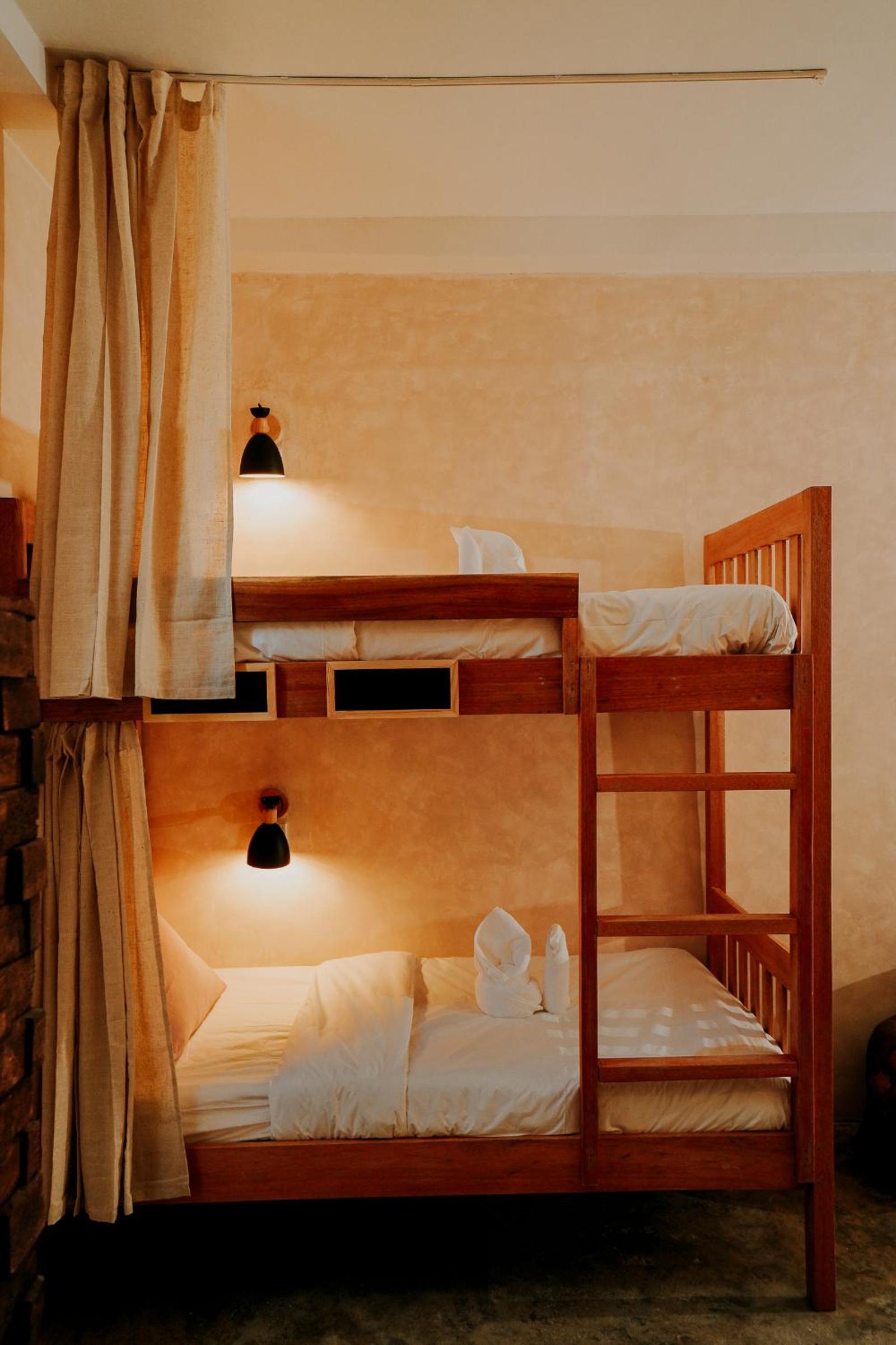 Single Bed in Mixed Dormitory Room photo 3