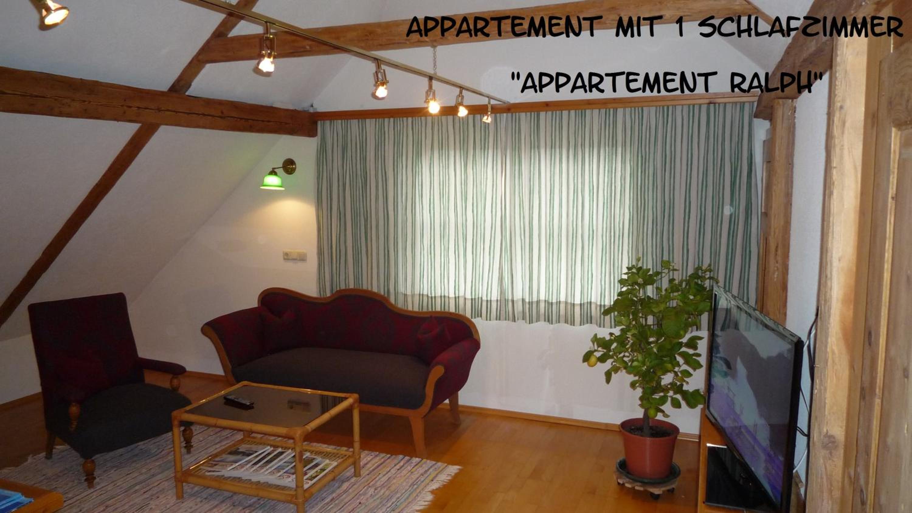 One-Bedroom Apartment photo 1