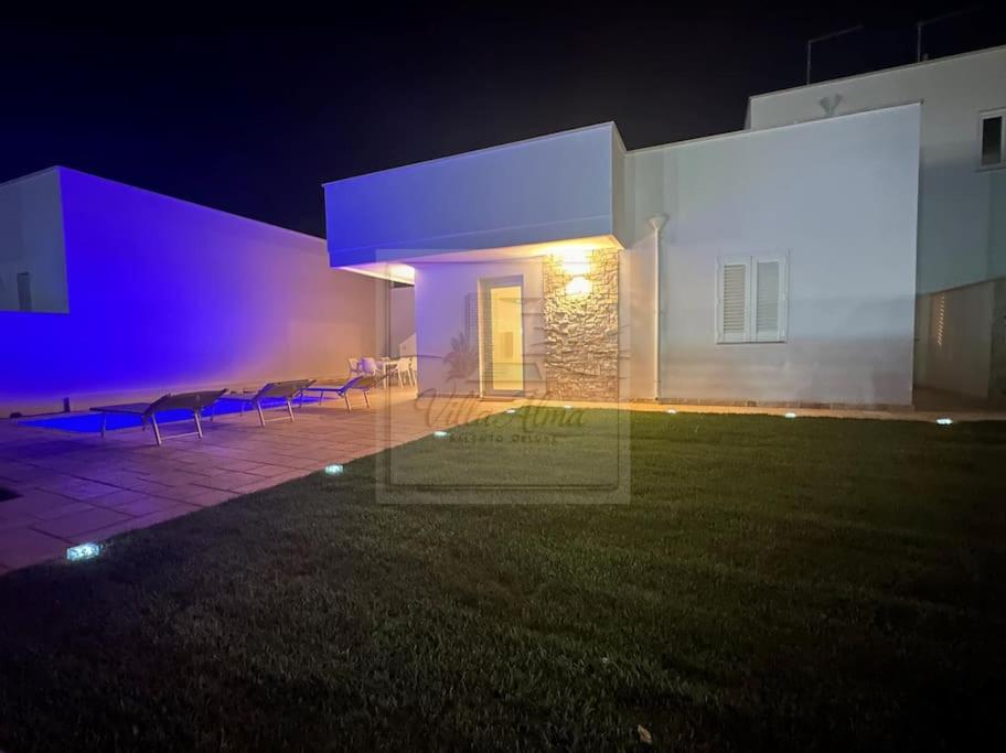 Deluxe Villa photo 2