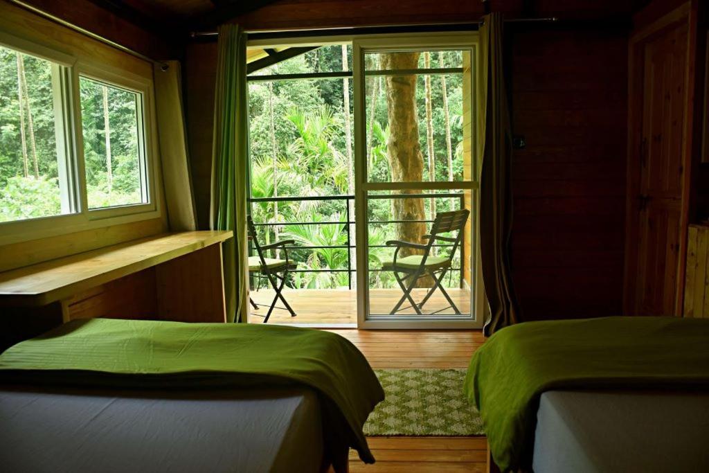 Twin Room With View photo 3