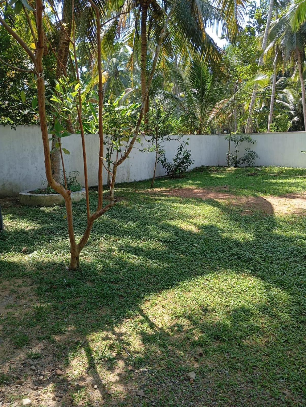 Three-Bedroom Home photo 2