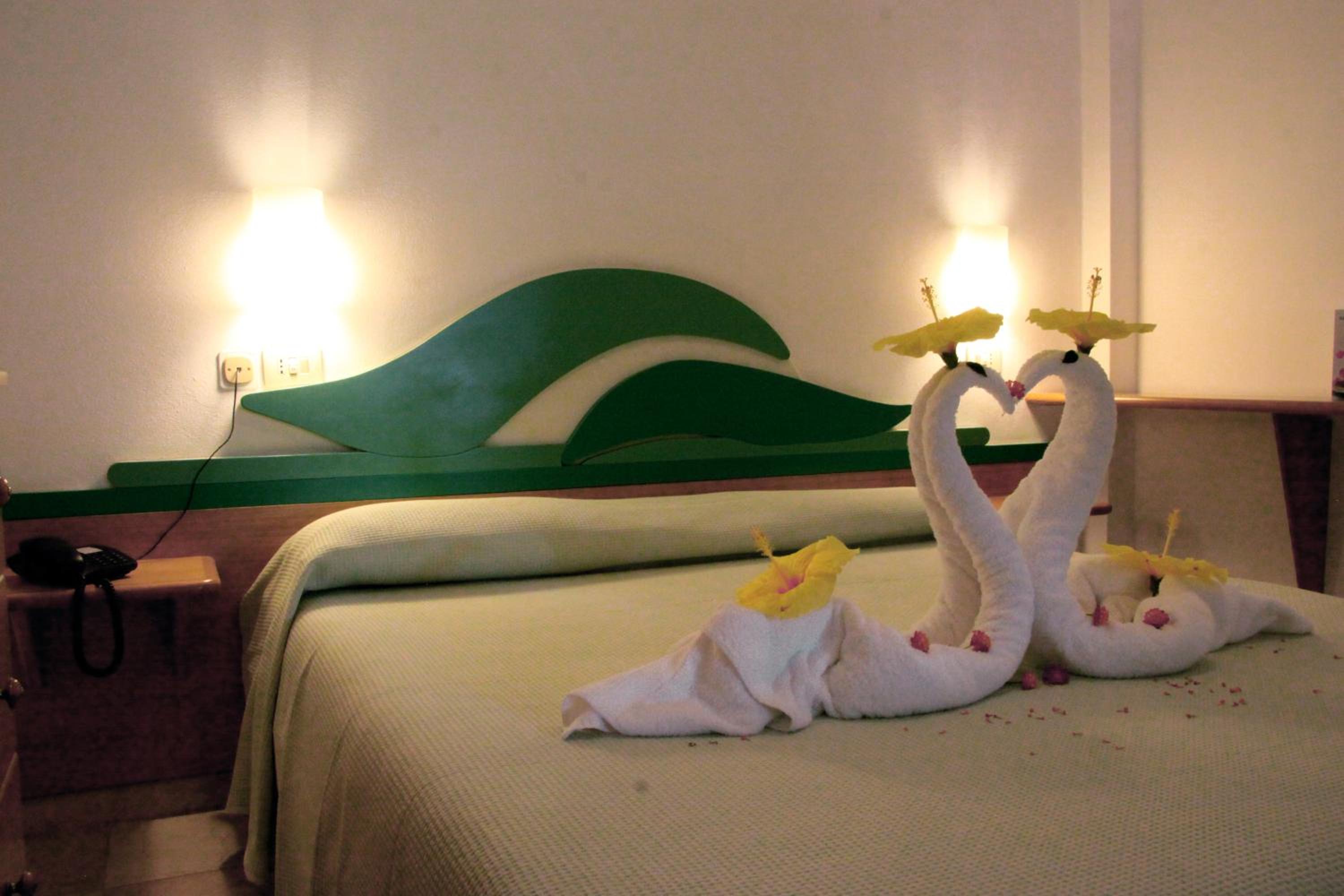 One-Bedroom Apartment (4 Adults) - Photo 2