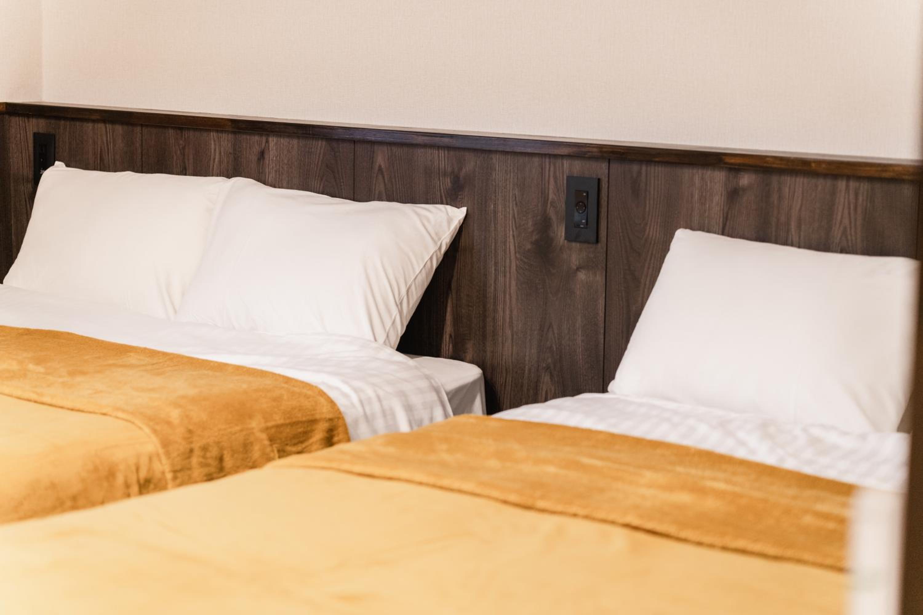 Deluxe Triple Room - Photo 7