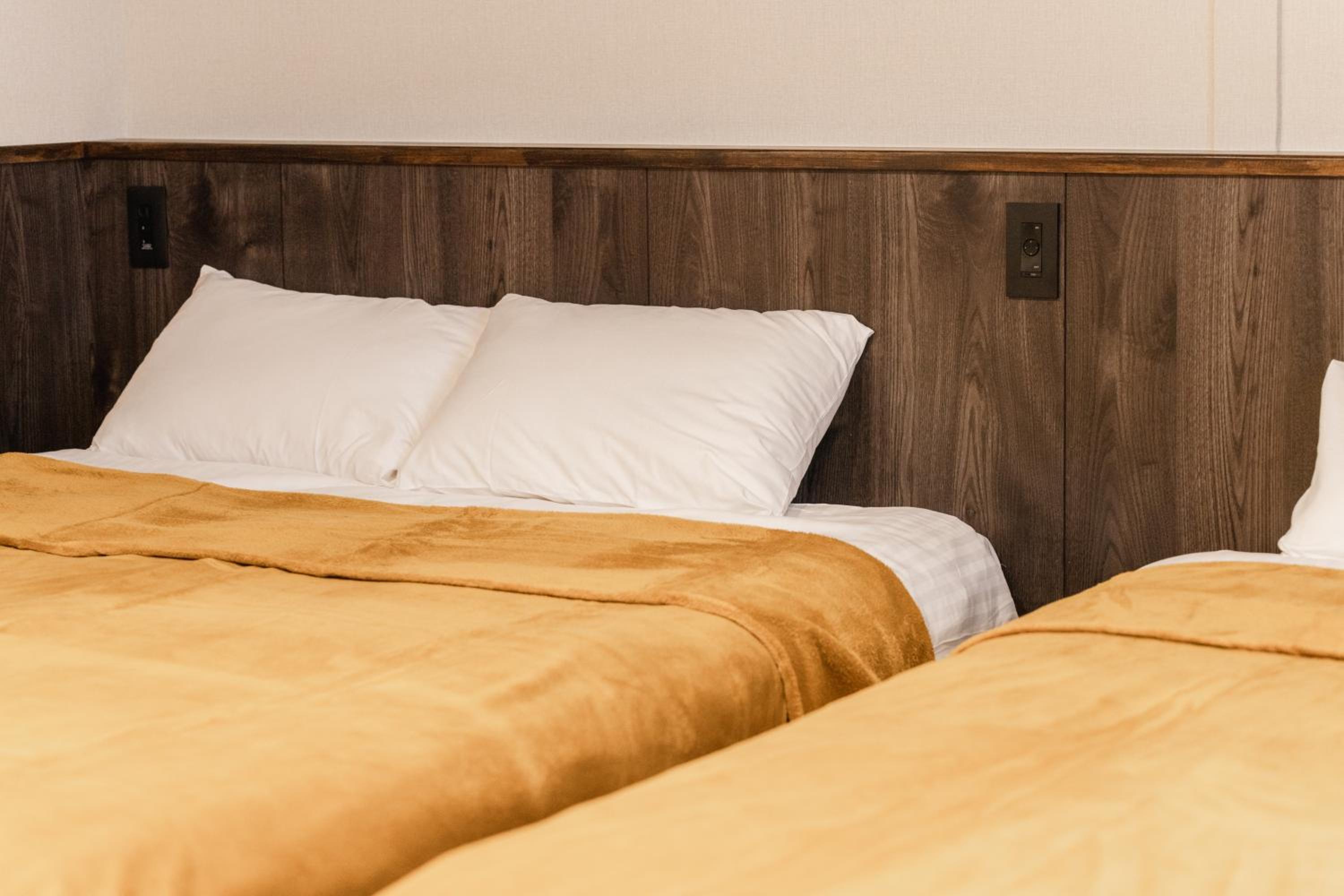 Deluxe Twin Room - Photo 1