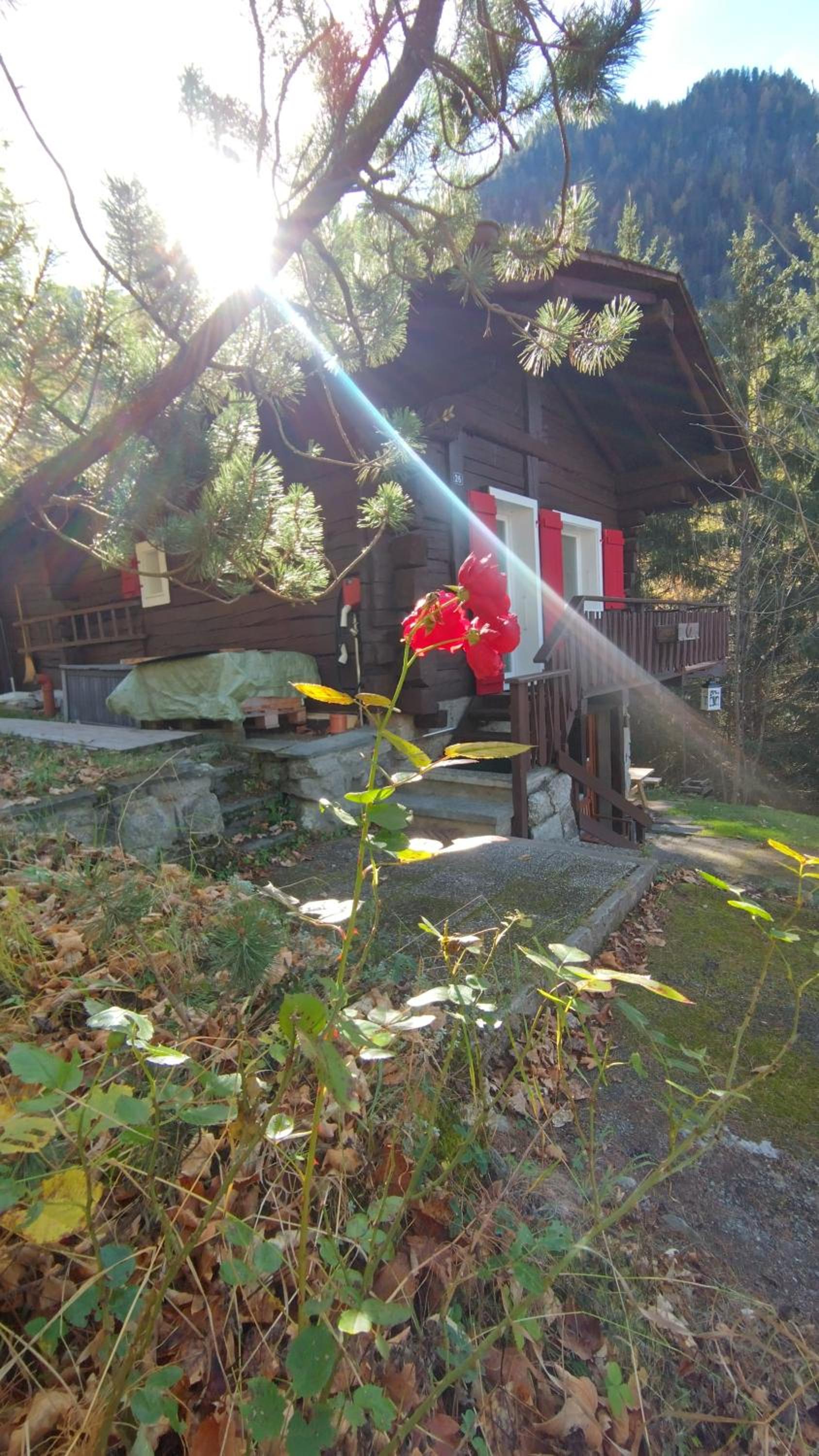 Two-Bedroom Chalet - Photo 21
