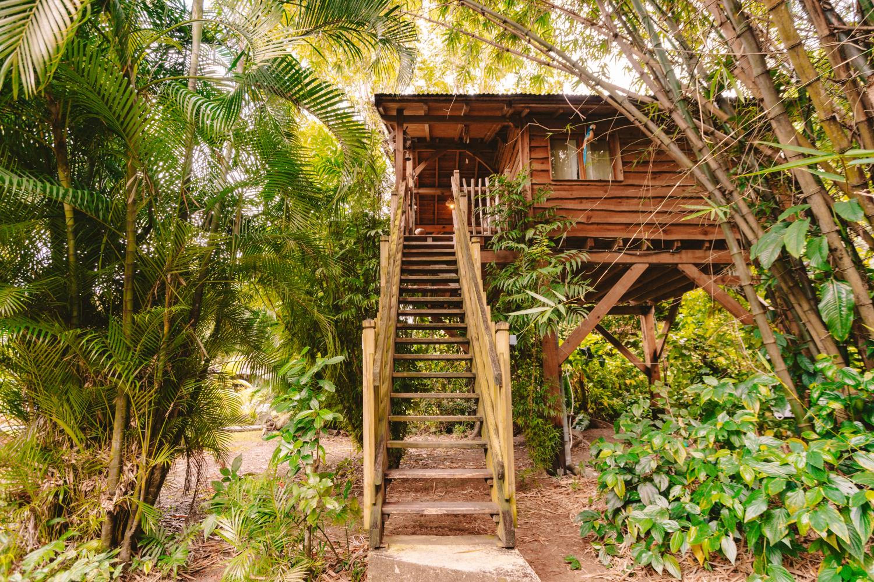 Treehouse photo 2