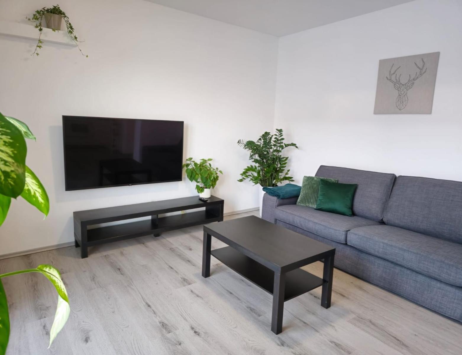 One-Bedroom Apartment photo 1