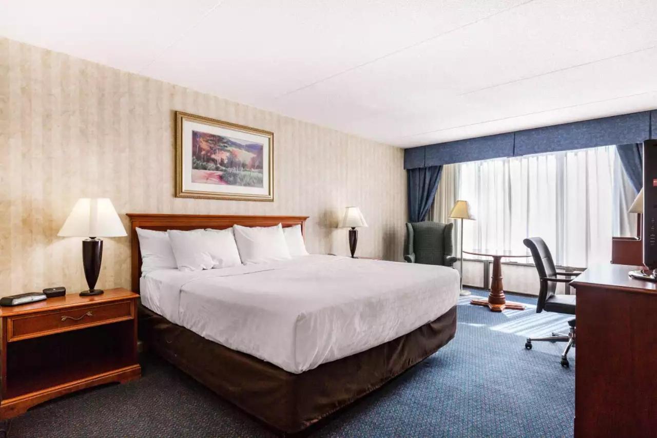 King Room - Non-Smoking