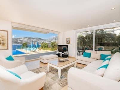 Three-Bedroom Villa photo 2