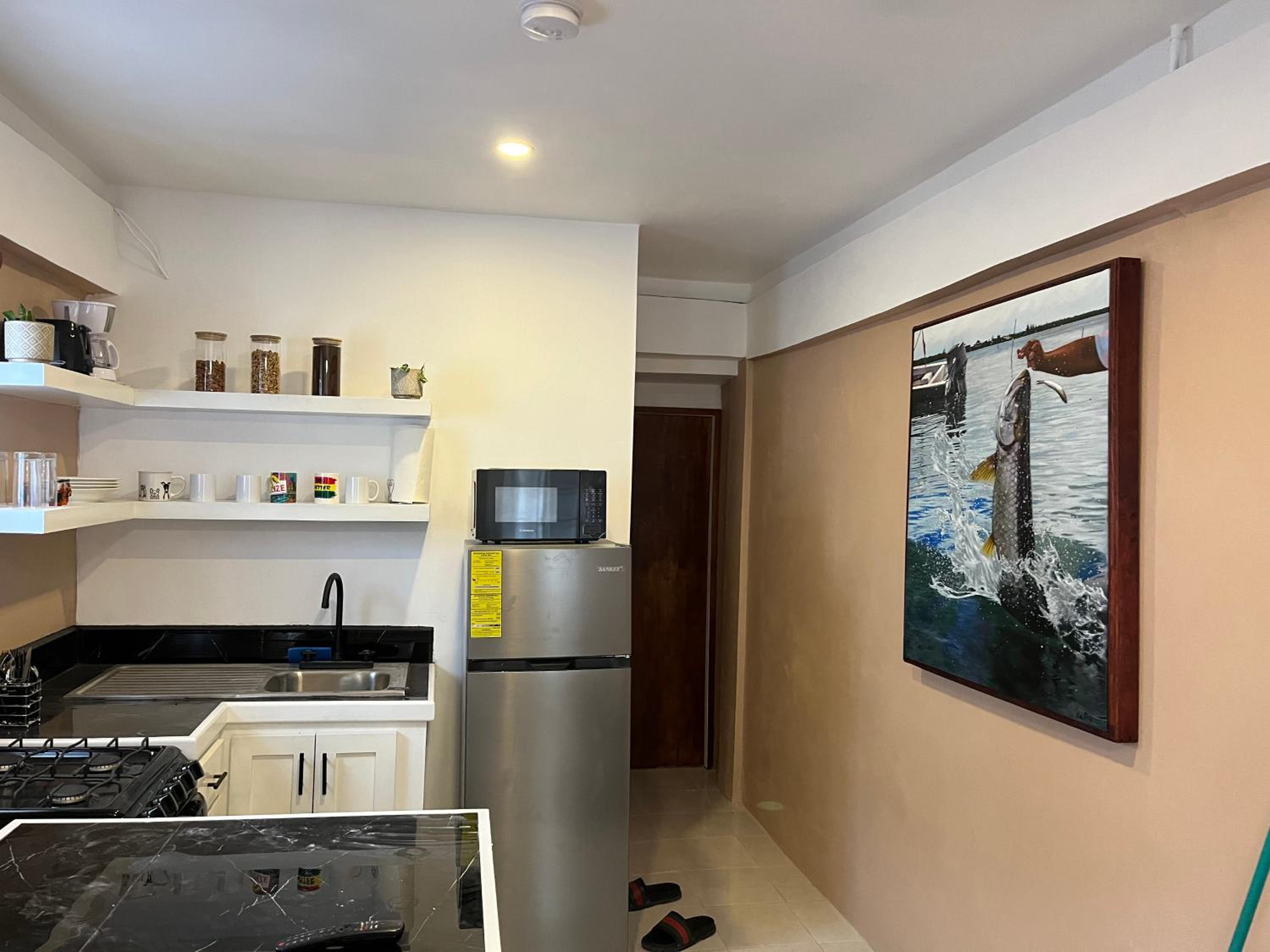 One-Bedroom Deluxe Apartment photo 3