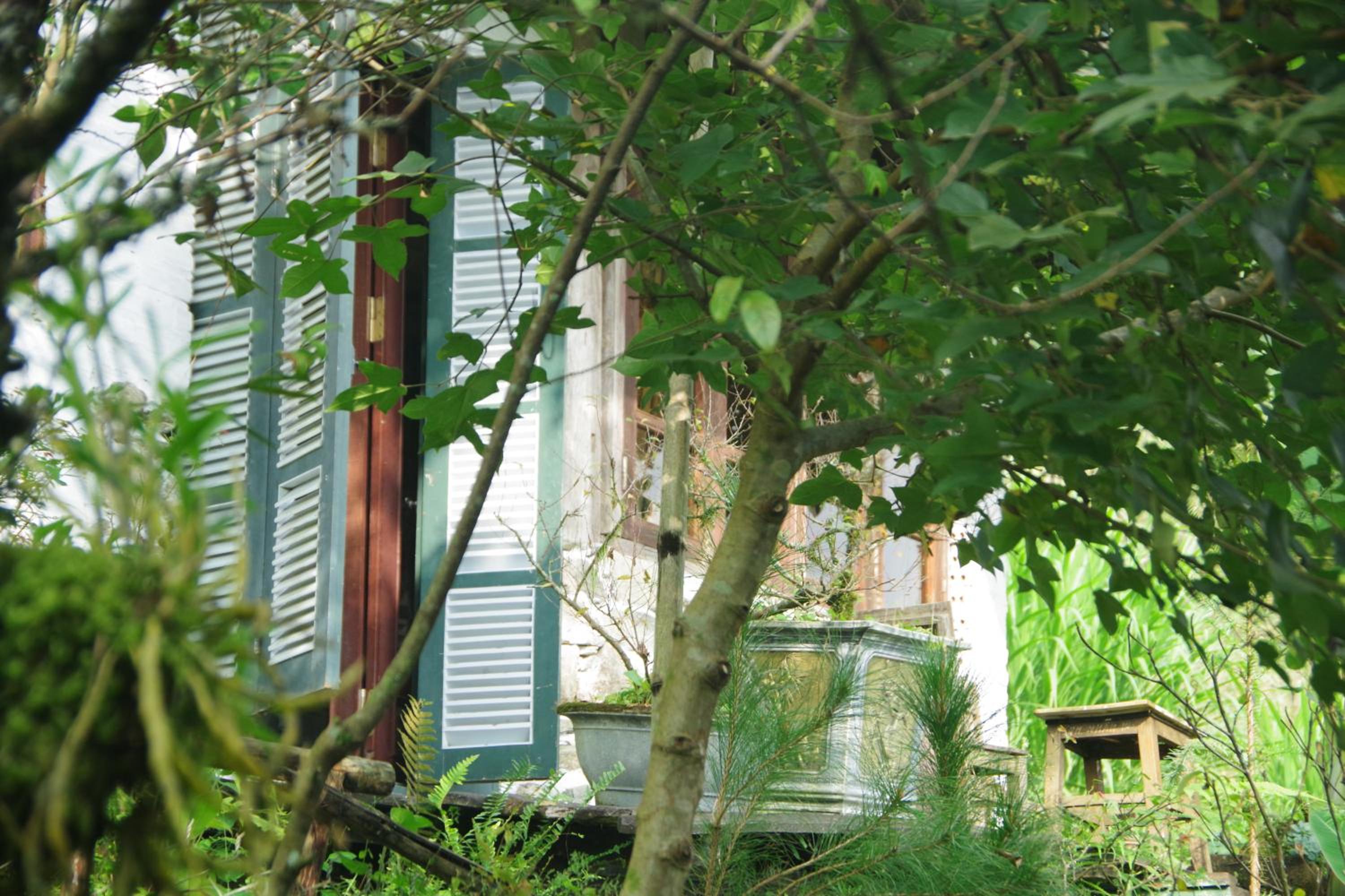 Superior Chalet photo 3