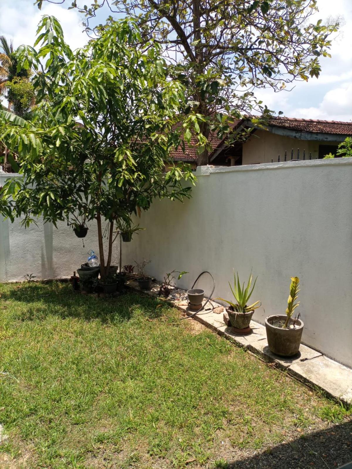 Apartment With Garden View photo 3