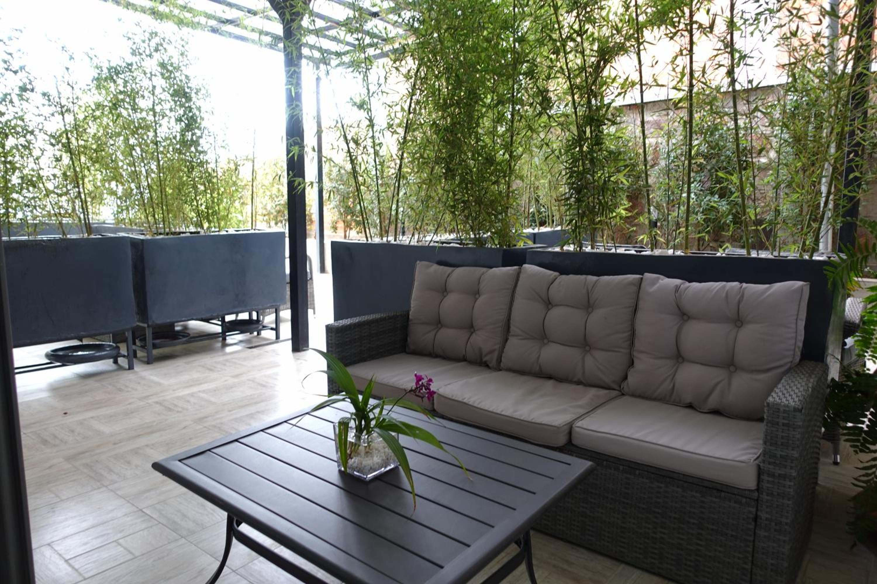 Double Room with Terrace photo 3
