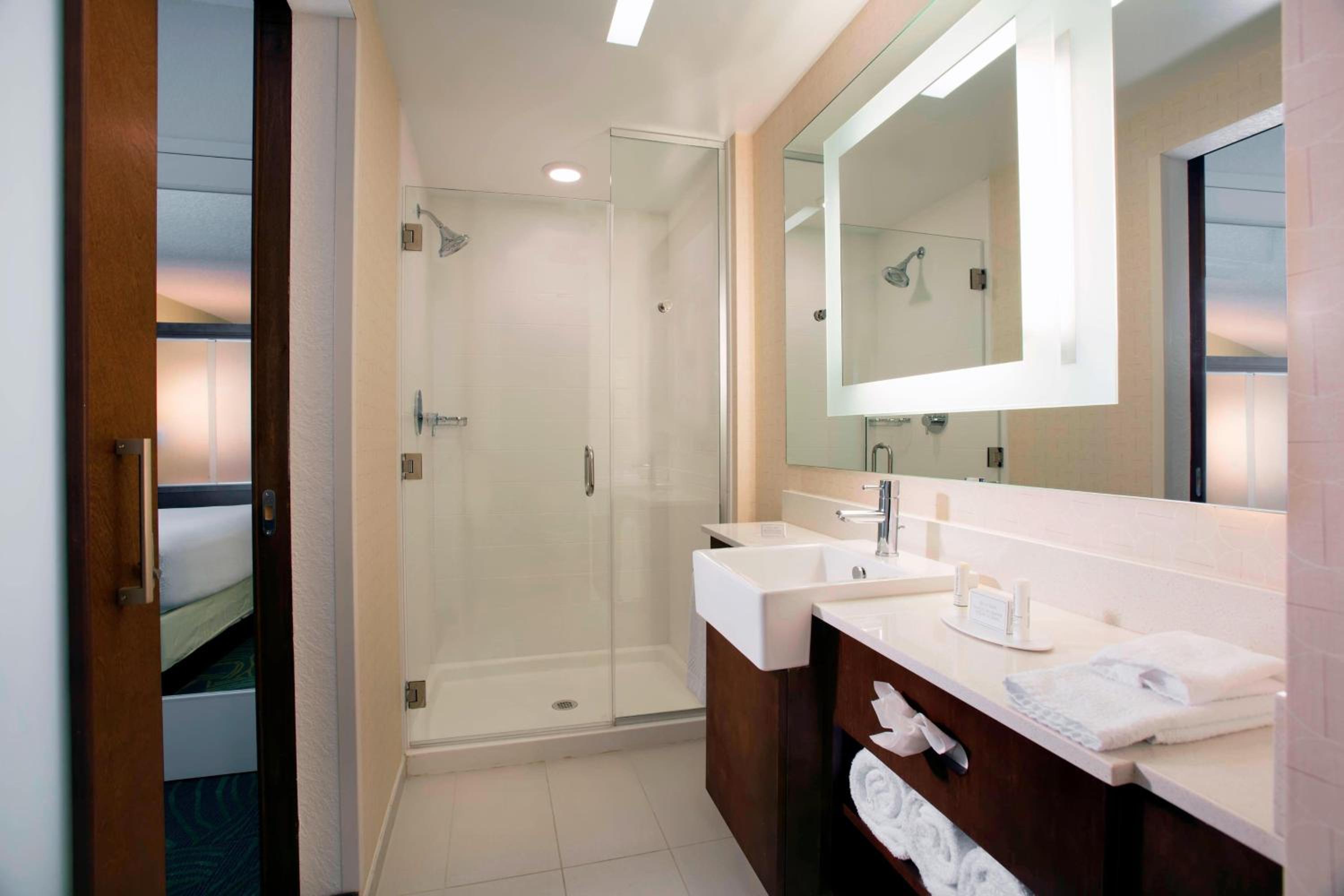 Queen Suite with Sofa Bed - Mobility Access with Roll-In Shower thumbnail 5