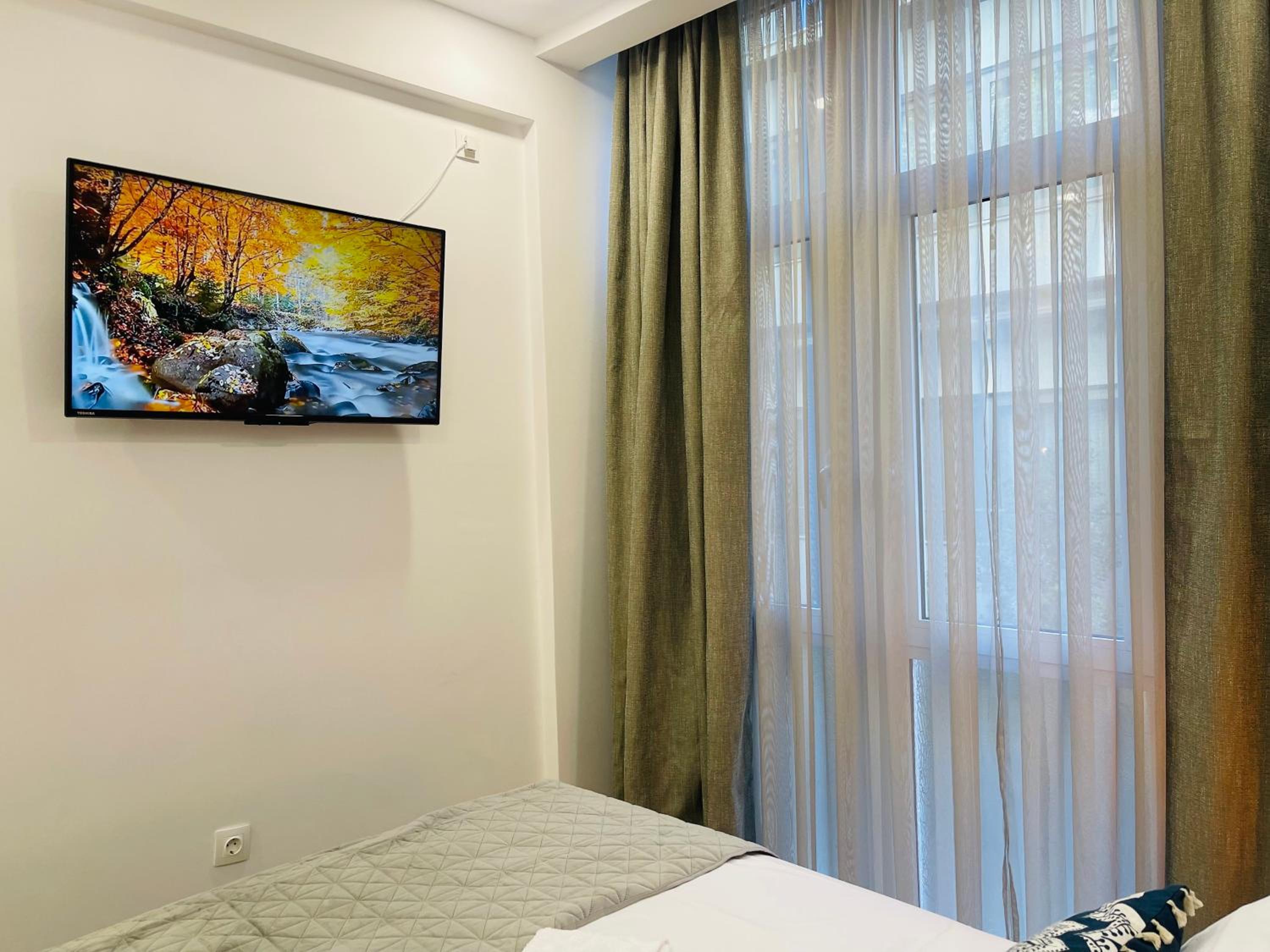 One-Bedroom Apartment photo 3