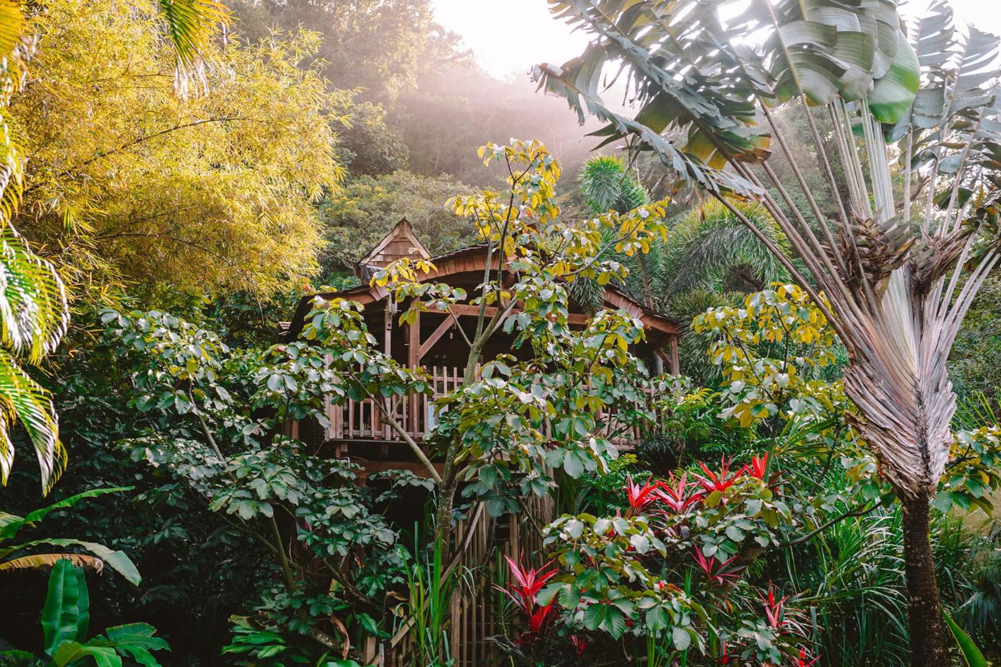 Treehouse photo 2