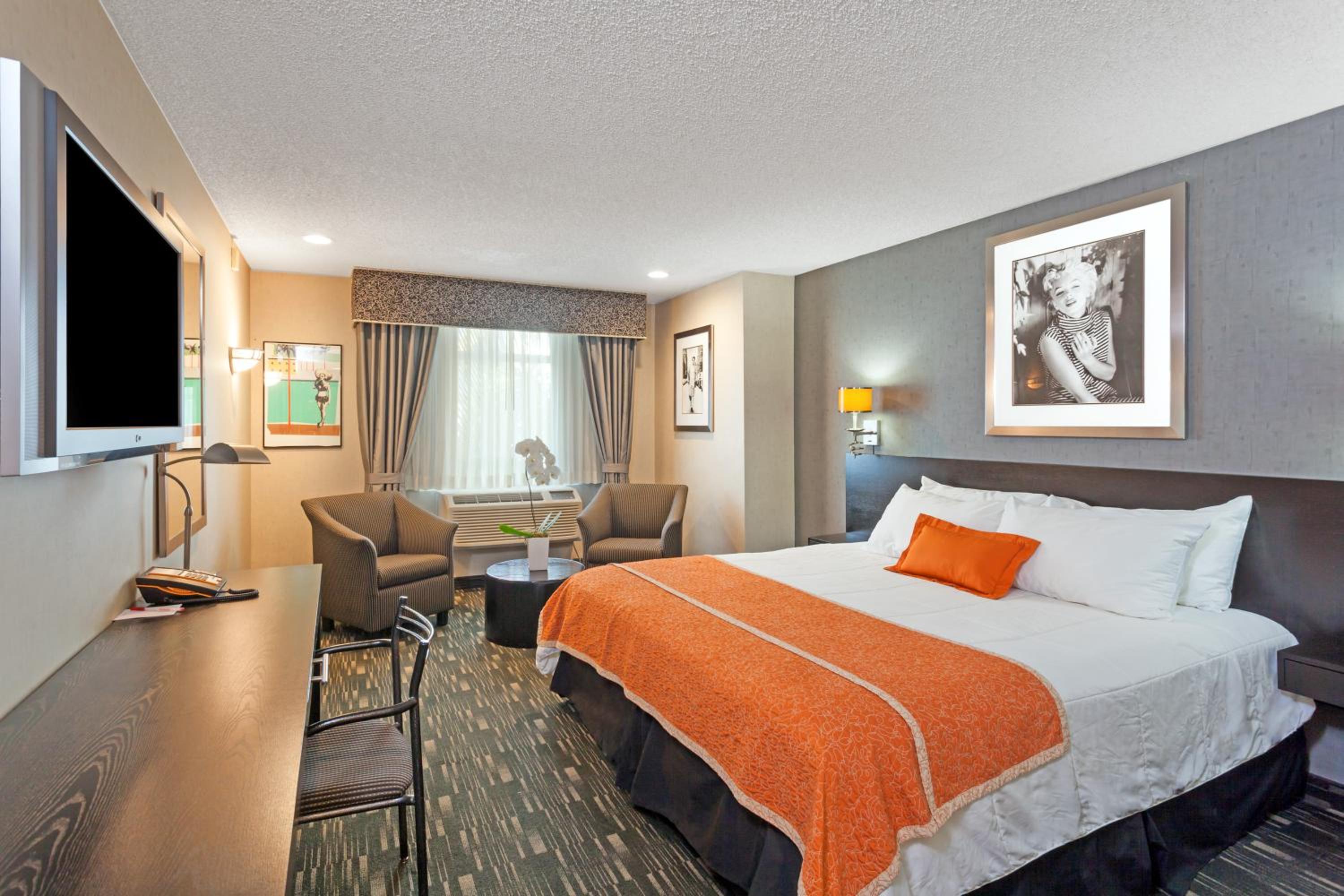 King Room photo 1