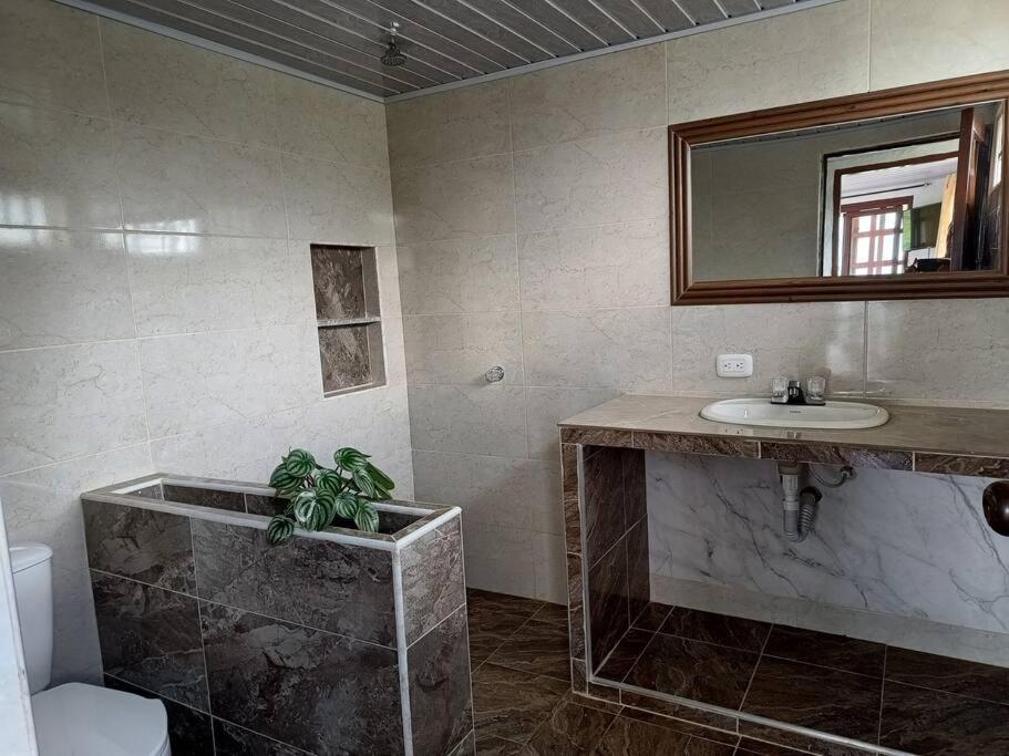 One-Bedroom Chalet photo 2