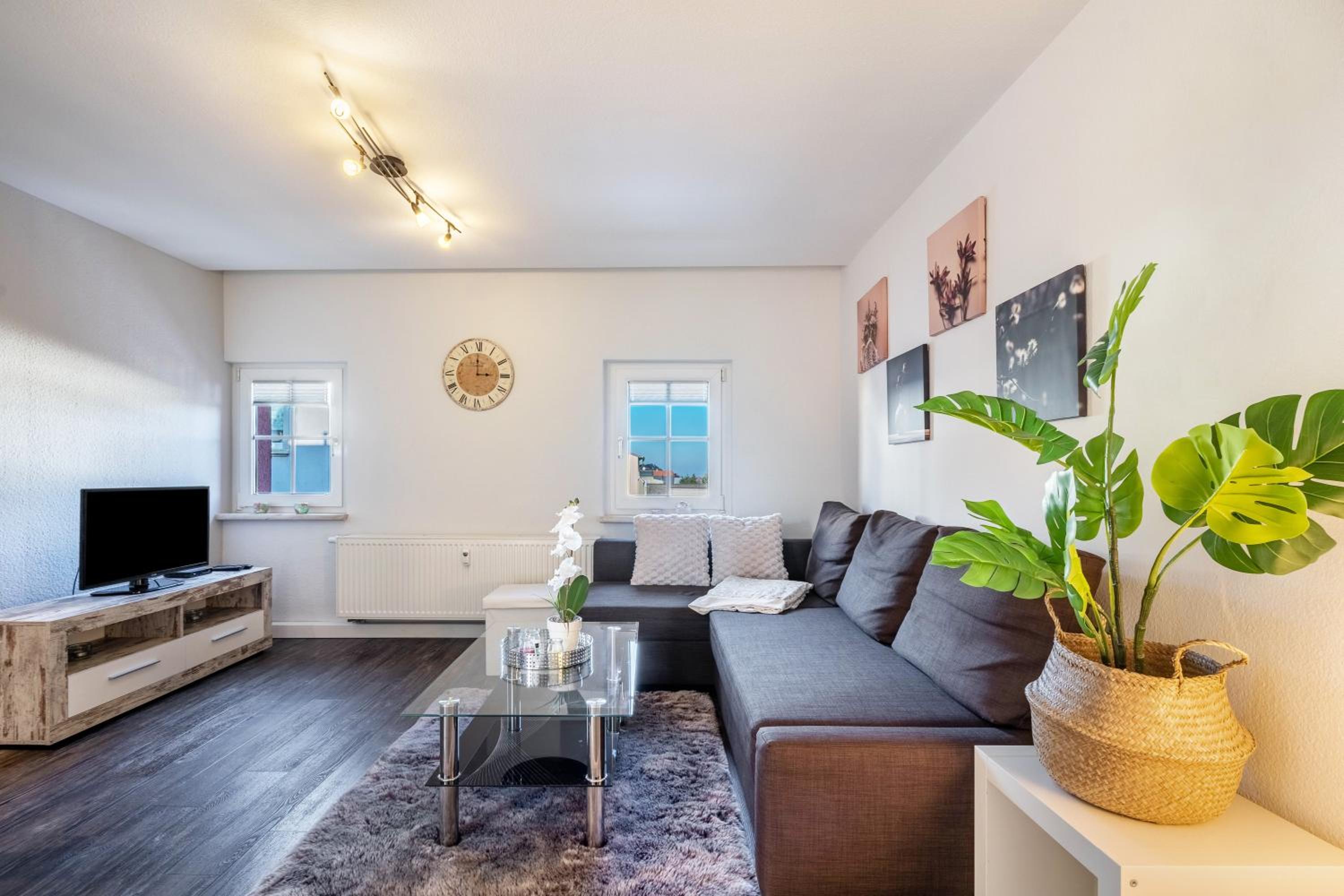 Superior One-Bedroom Apartment