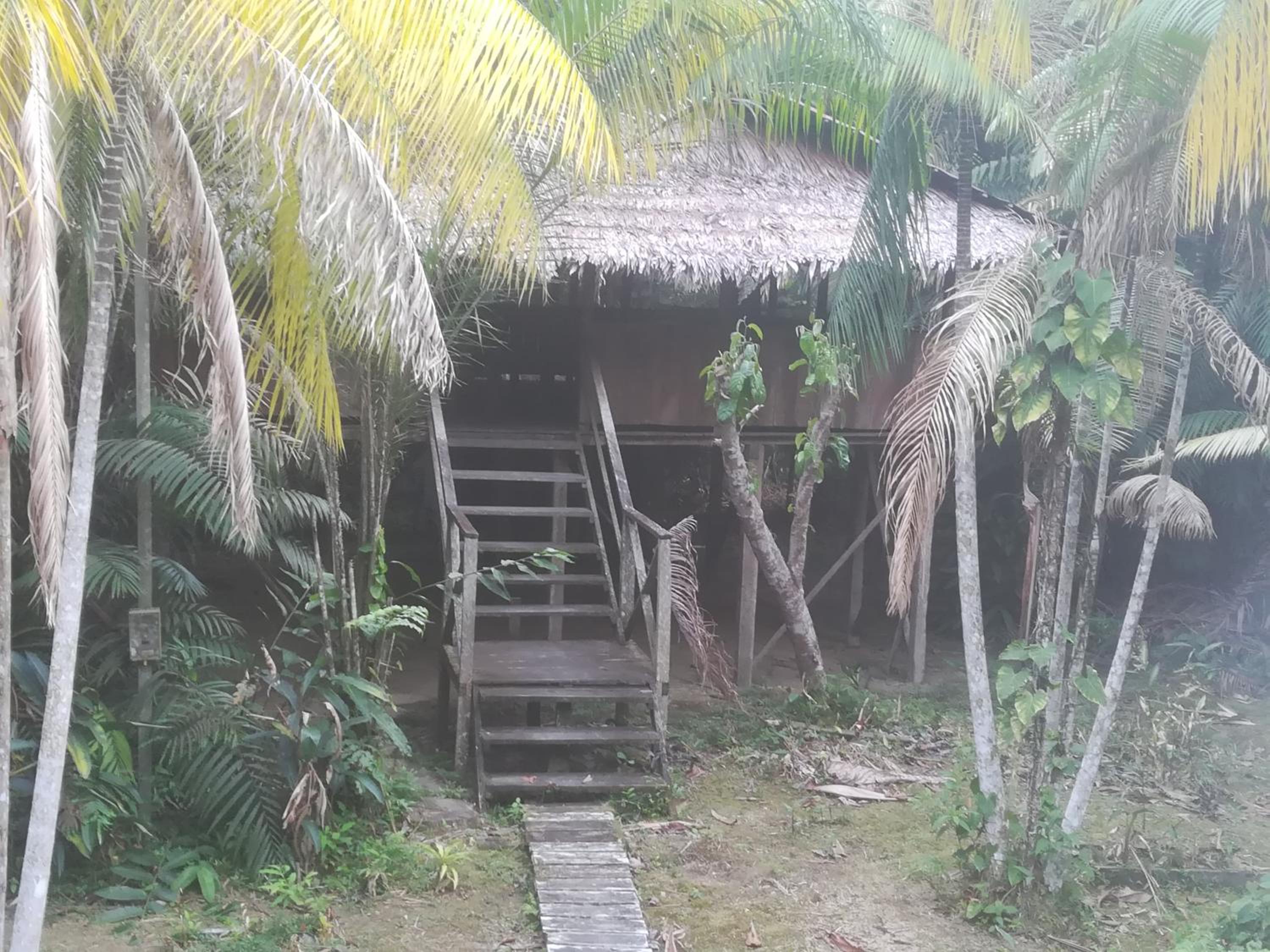 Bungalow photo 3