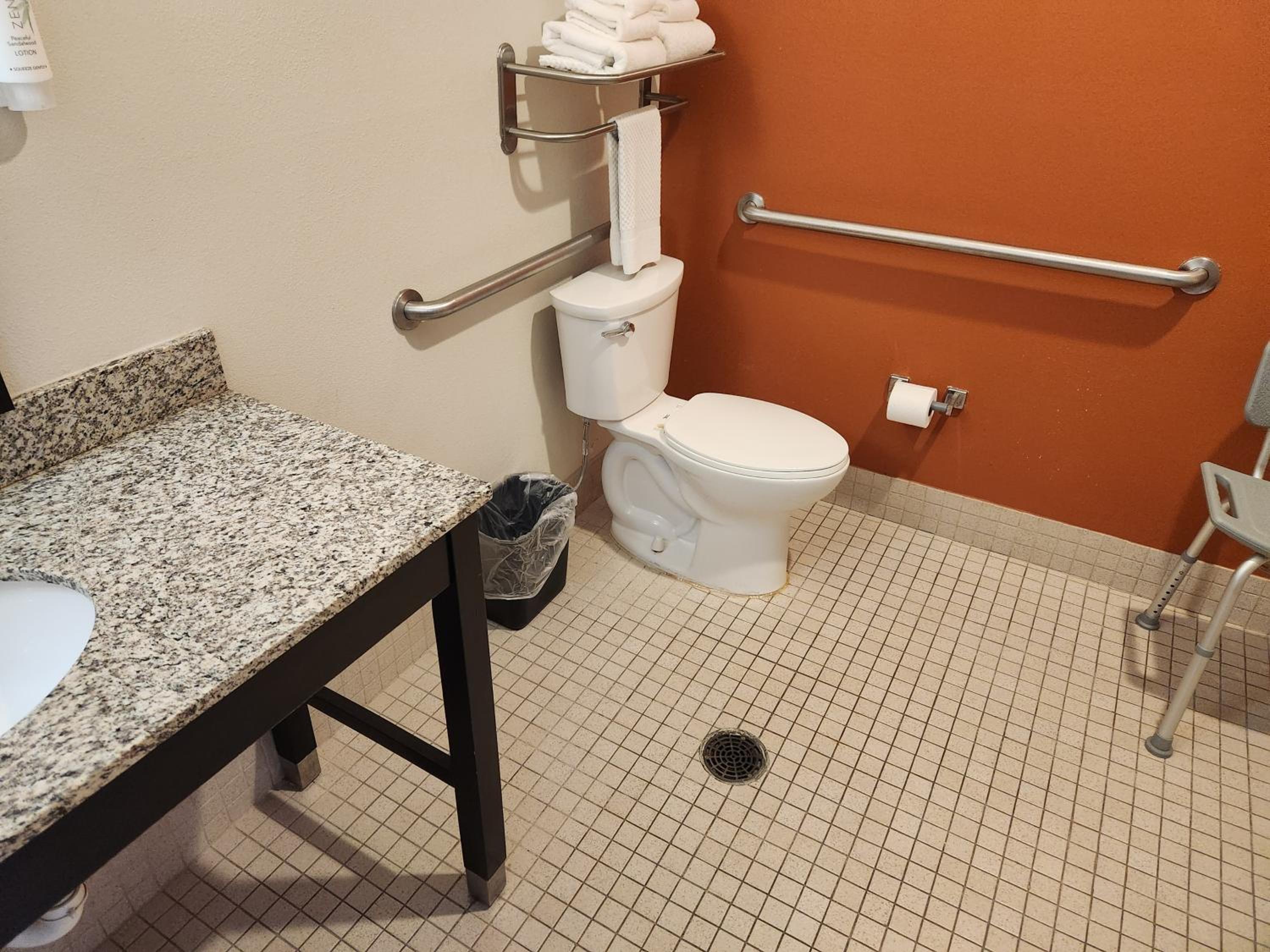King Suite - Accessible/Non-Smoking photo 2