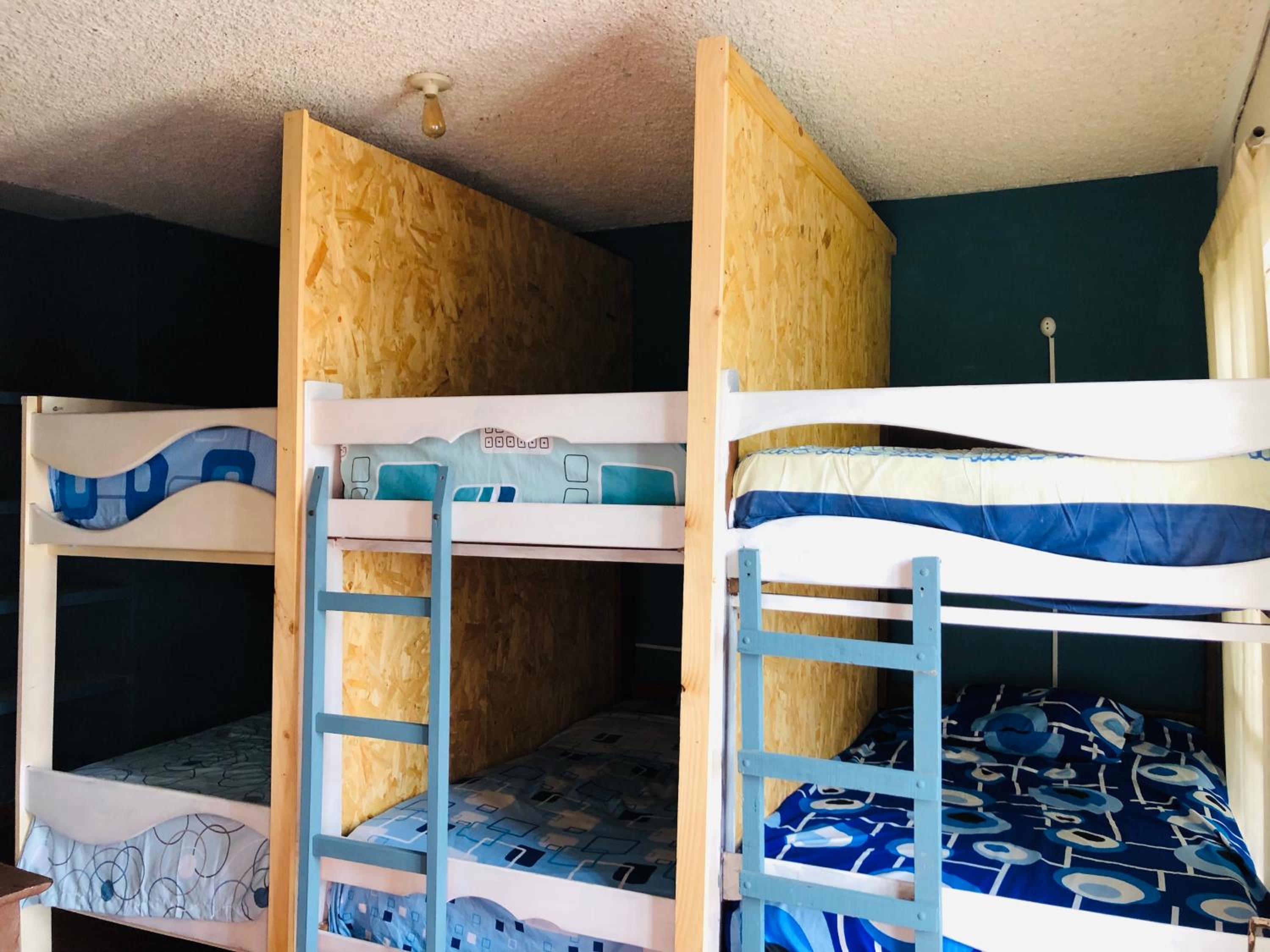Bed in 6-Bed Mixed Dormitory Room photo 2
