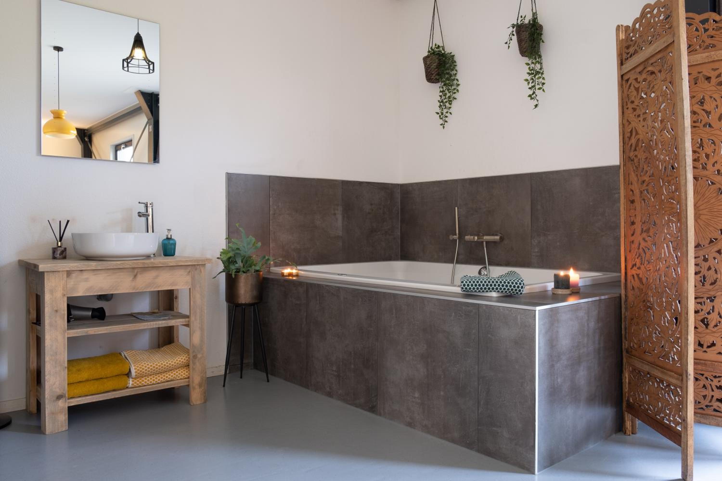 Deluxe Suite with Bath photo 2