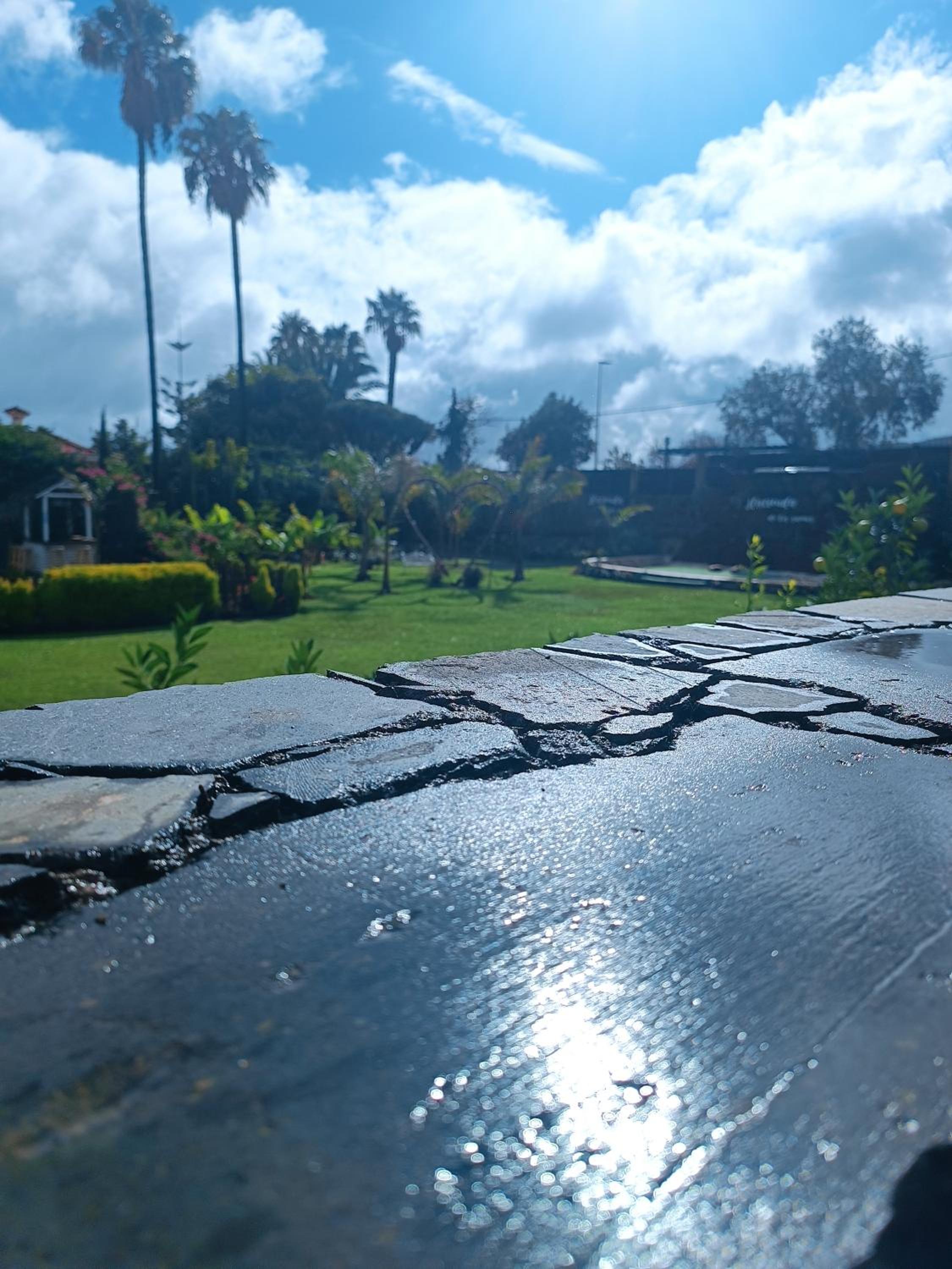 Superior Villa photo 2