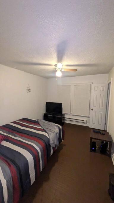 One-Bedroom Apartment photo 3