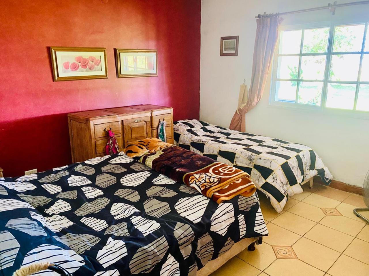 Triple Room photo 1