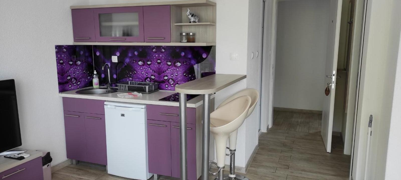 One-Bedroom Apartment with Lake View photo 2