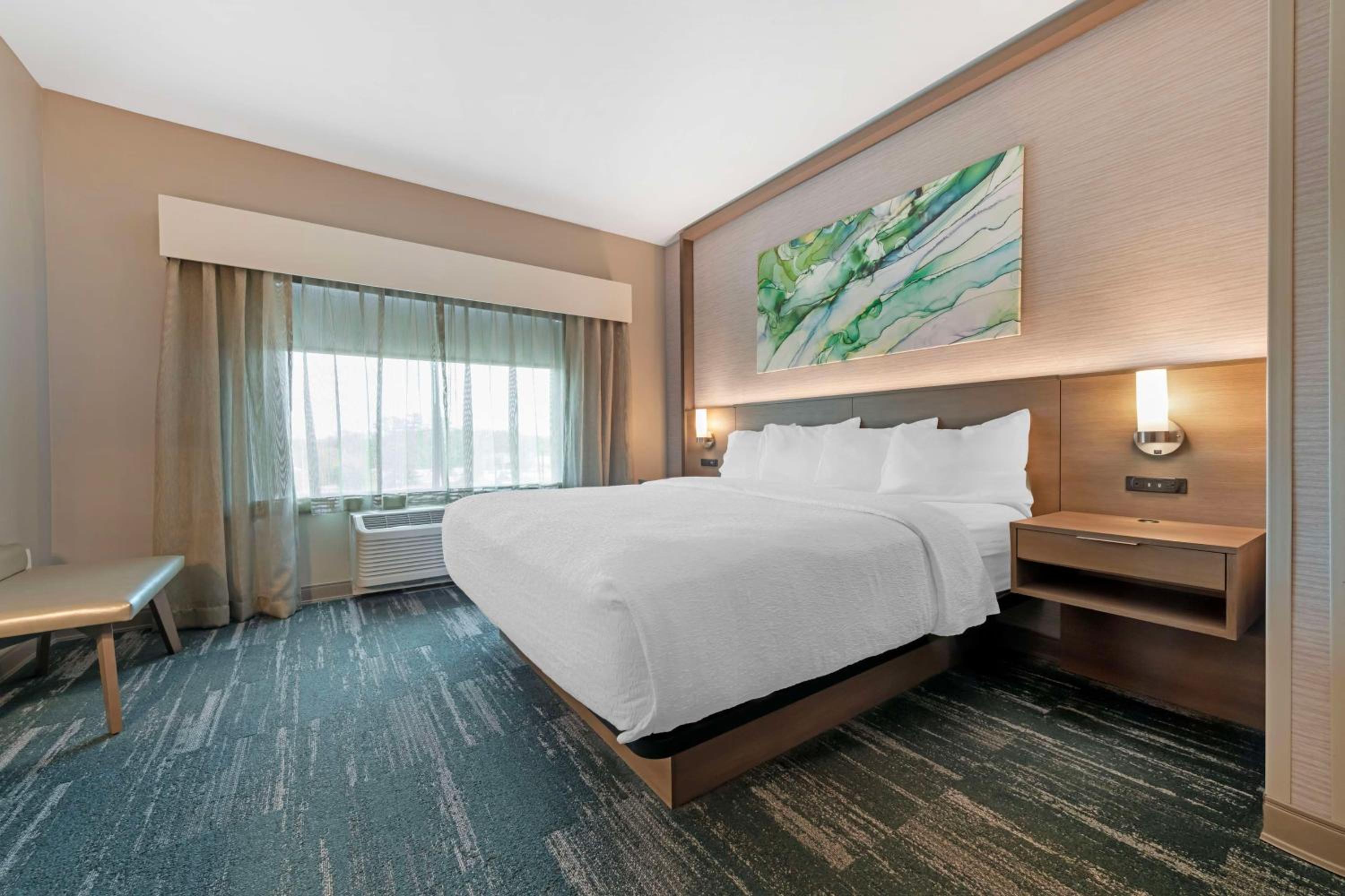King Suite with Sofa Bed - Non-Smoking - Photo 1