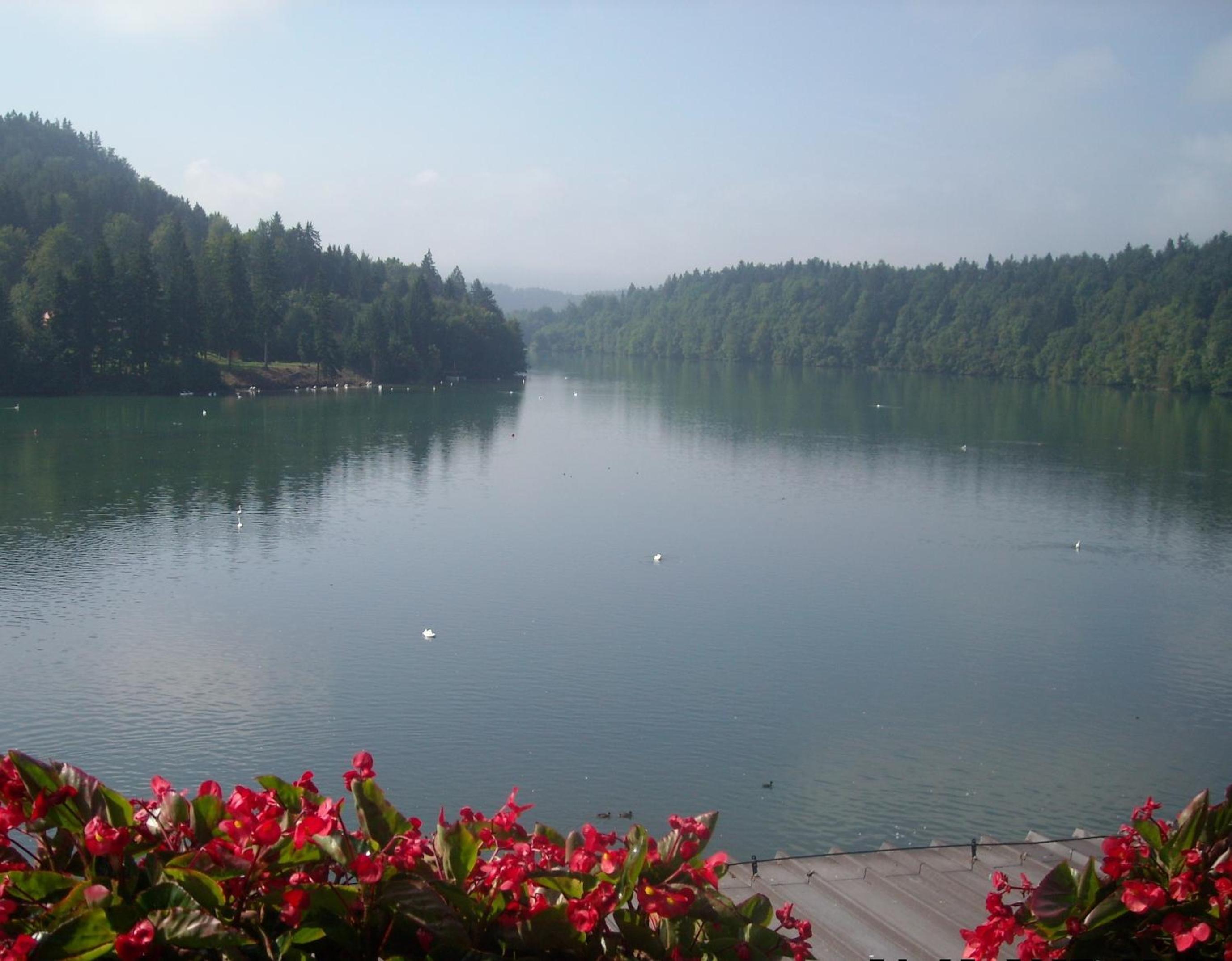Double Room with Balcony and Lake View - Photo 25