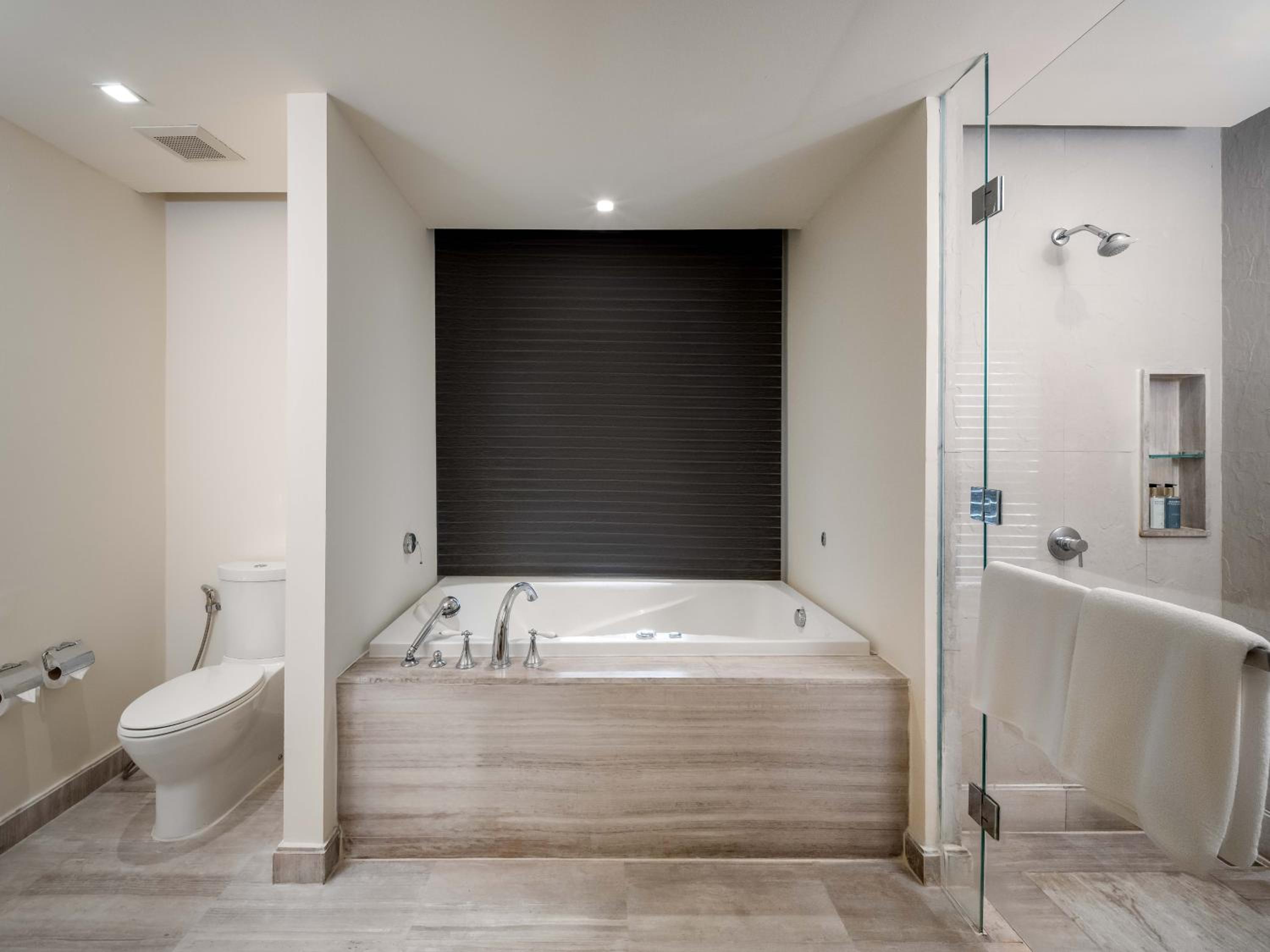 Deluxe Suite - Photo 4