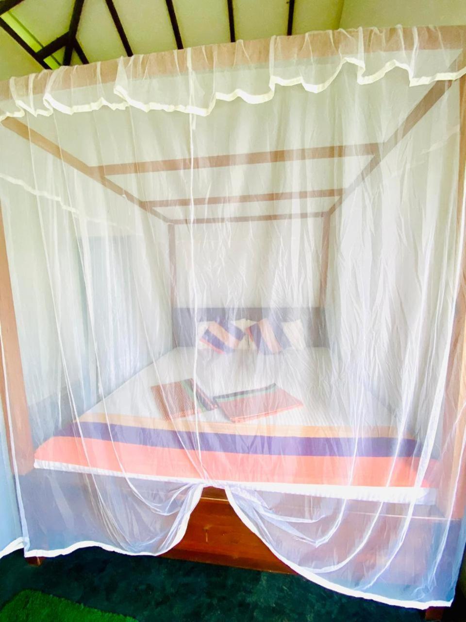 Deluxe Double Room with Sea View photo 2