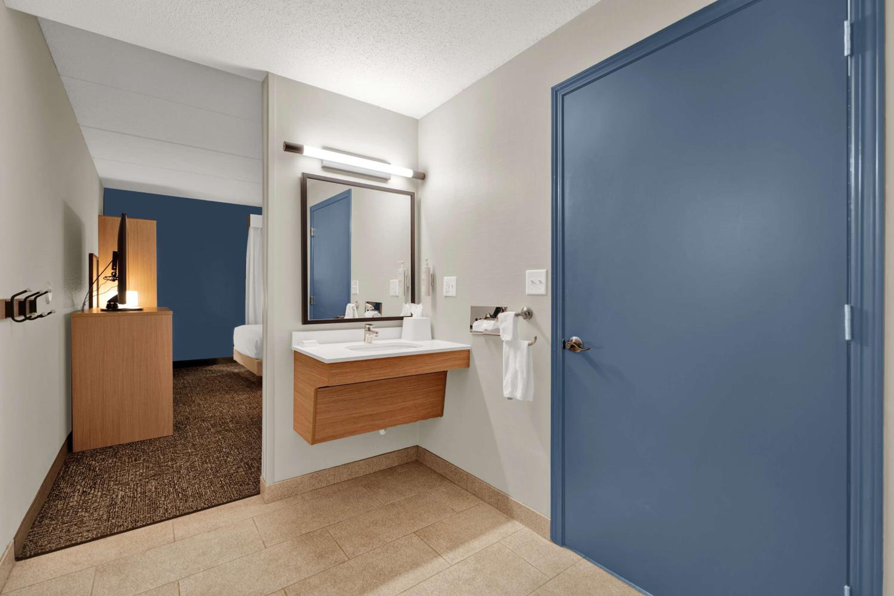 King Room with Roll-In Shower - Mobility Access - Photo 9